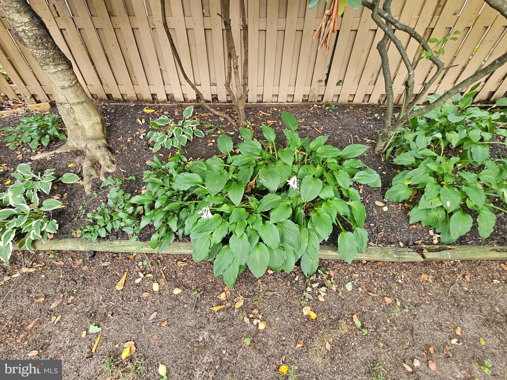 SOMERSET AT BELAIR - Residential