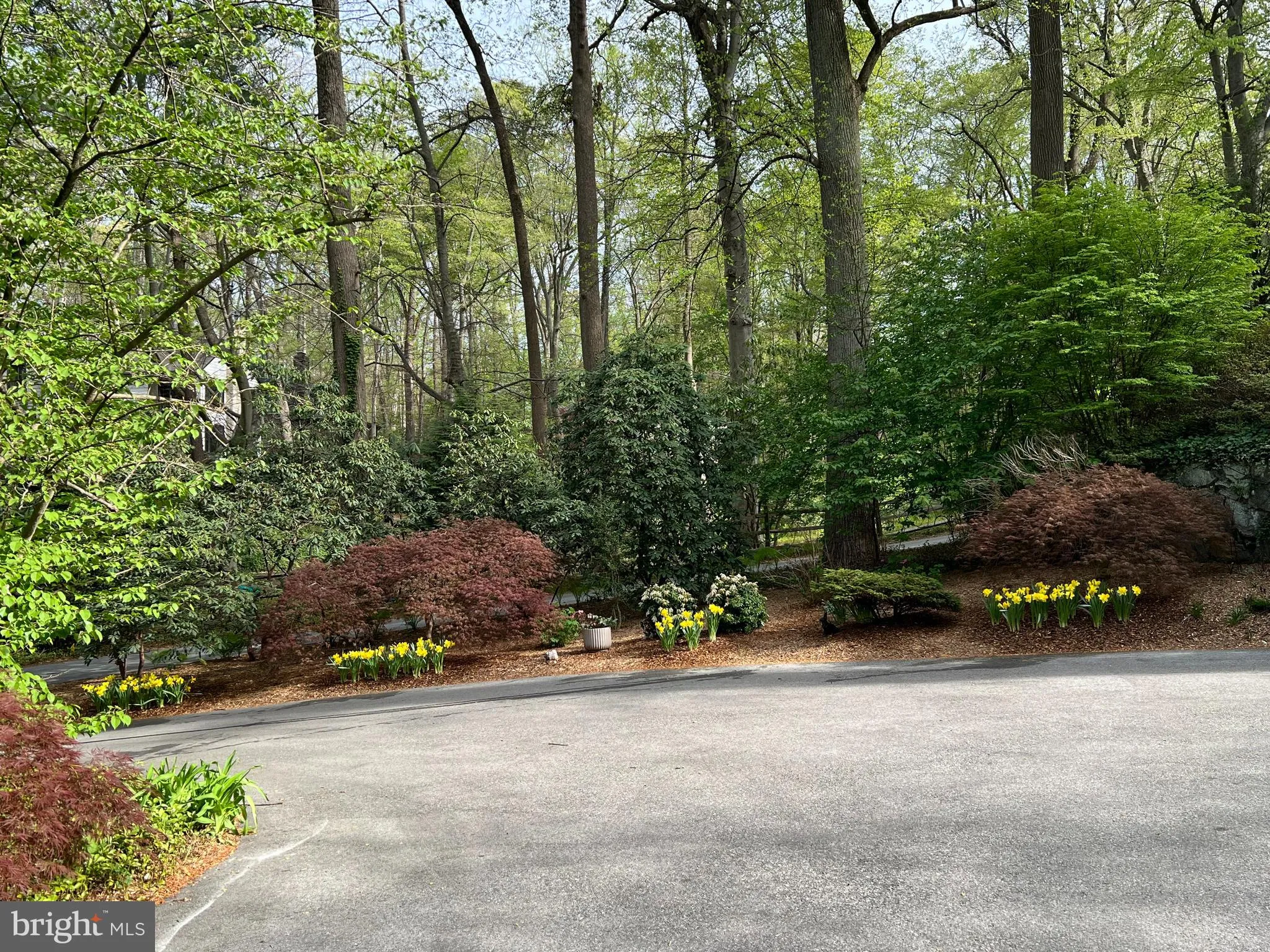 Wynnewood, Pennsylvania 19096, United States, 4 Bedrooms Bedrooms, ,4 BathroomsBathrooms,Residential,Pending,114701