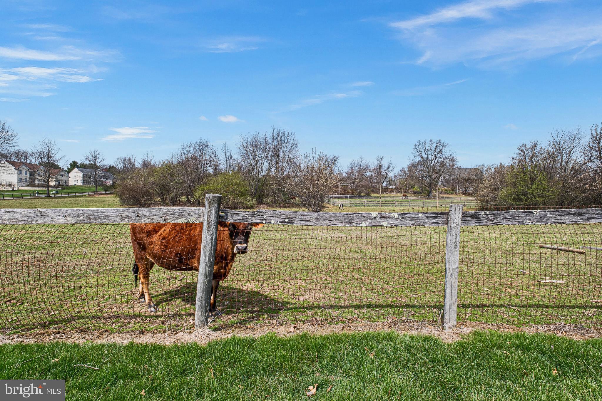 THE RIDINGS AT CONC - Residential