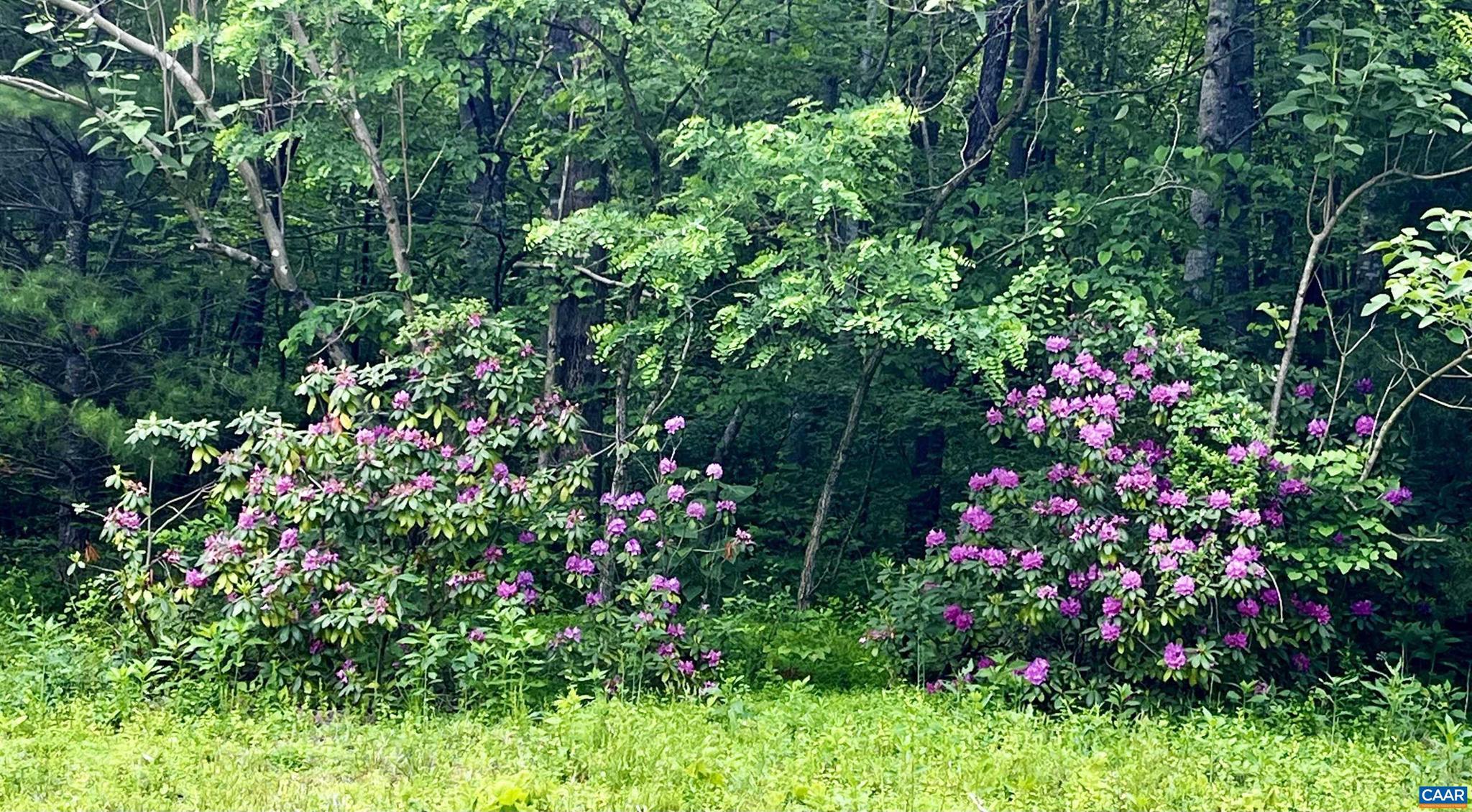 MEADOW ESTATES - Farm