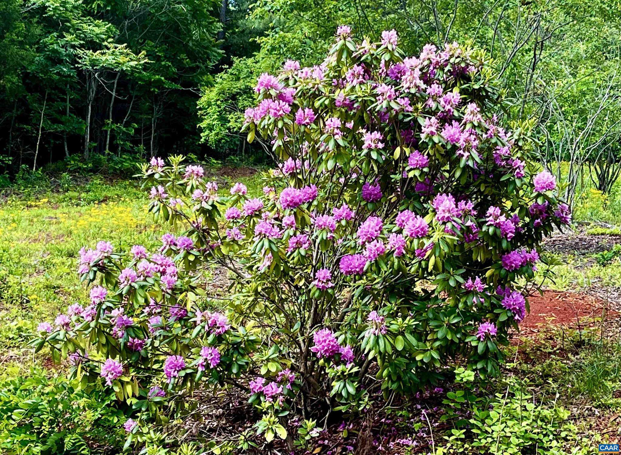 MEADOW ESTATES - Farm