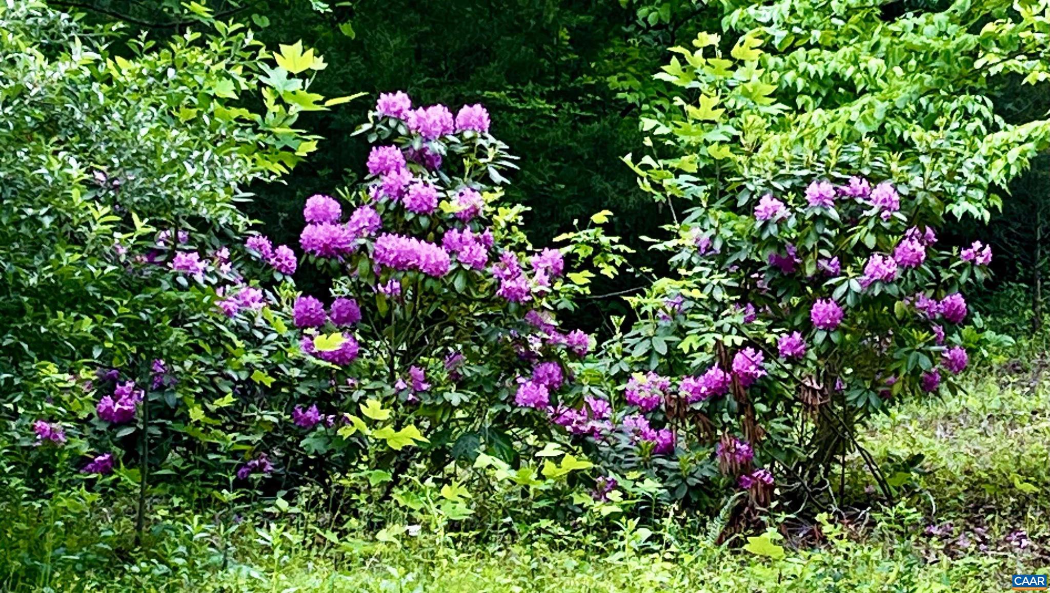 MEADOW ESTATES - Farm