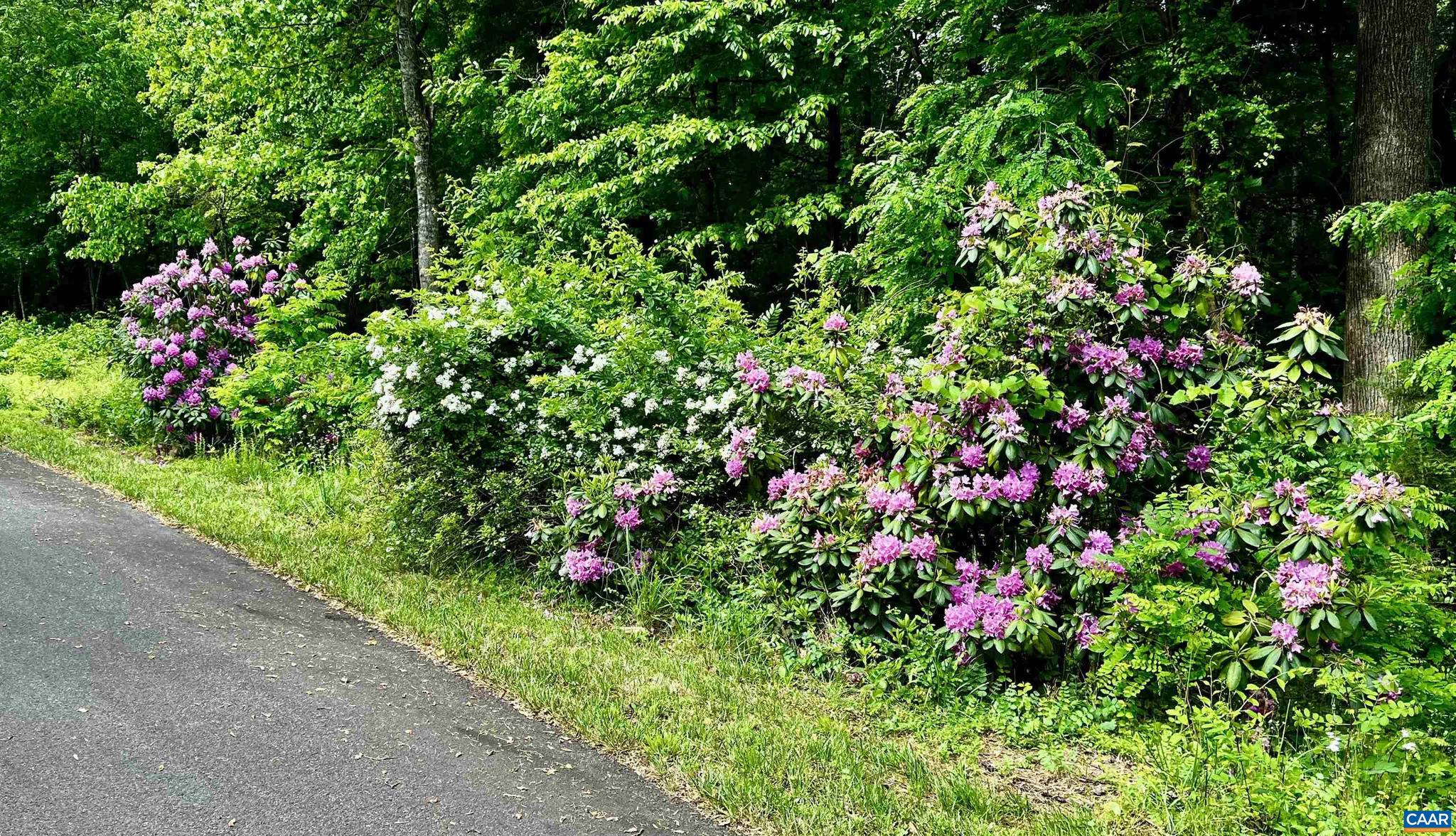 MEADOW ESTATES - Farm