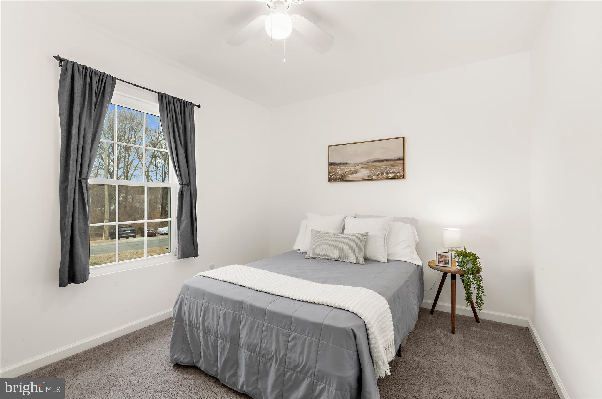 WASHINGTON PARK - Residential