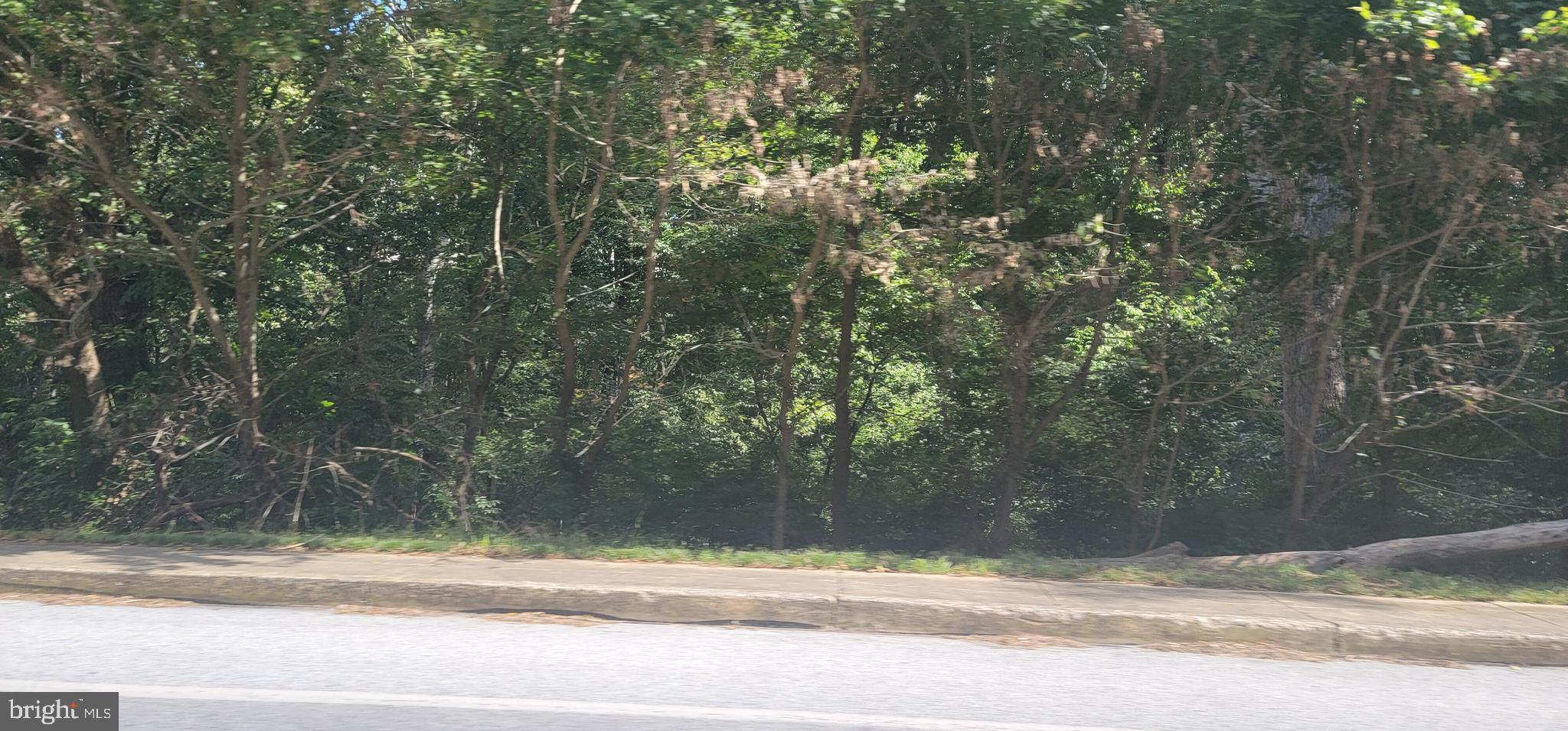 This listing reflects the Opportunity to purchase all 5 single family building lots together.
 31 & 32 S. Duke St, 65, 66, 67 Slackwater Rd.
 Rare opportunity for to purchase these 5 ANY BUILDER lots in Millersville Borough or this individual lot for $94,900.00 
Public utilities are available. Maturely wooded lots only minutes to downtown Millersville and walking distance to Crossgates Golf Course.