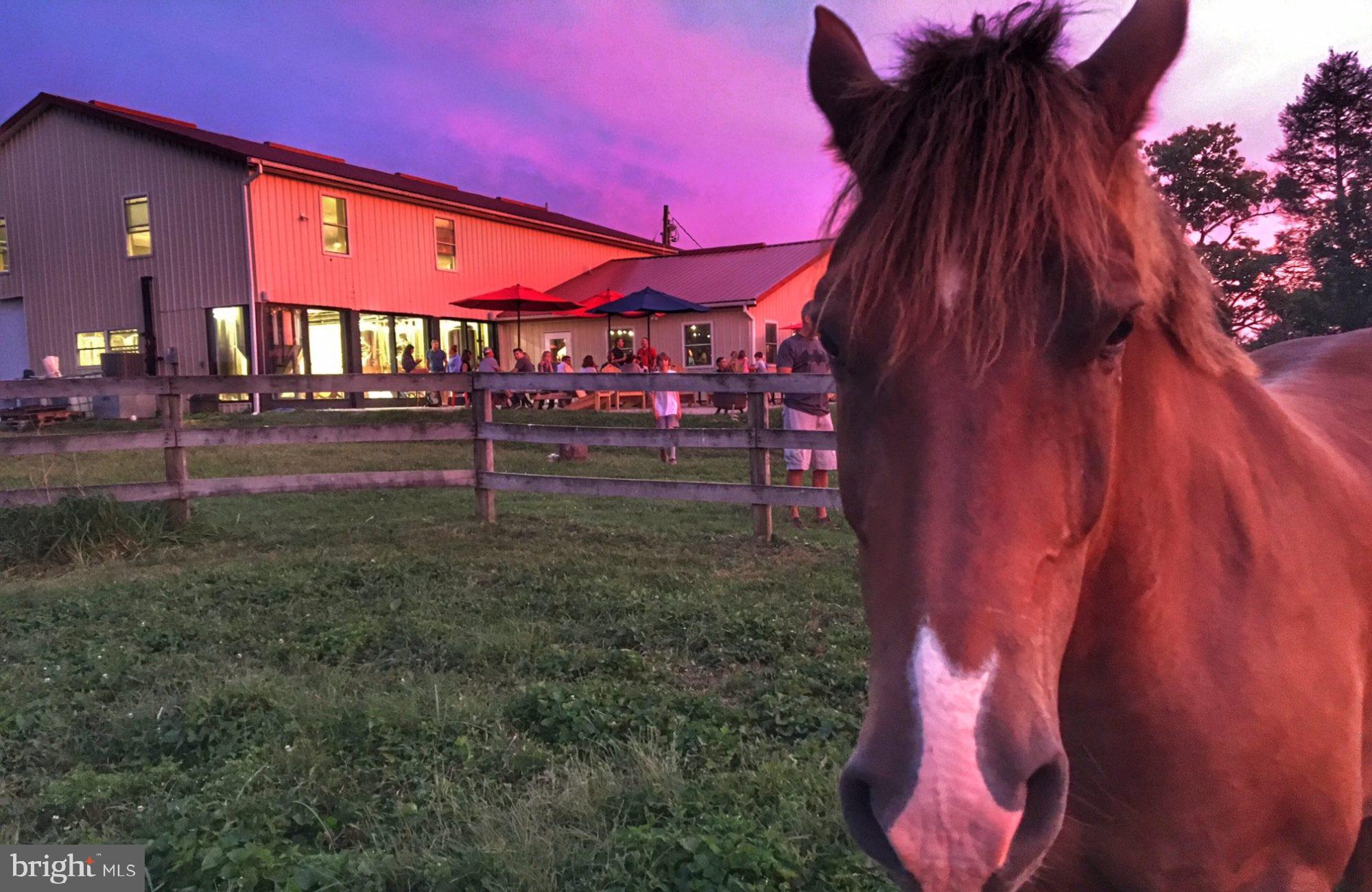 BROOK HOLLOW - Residential