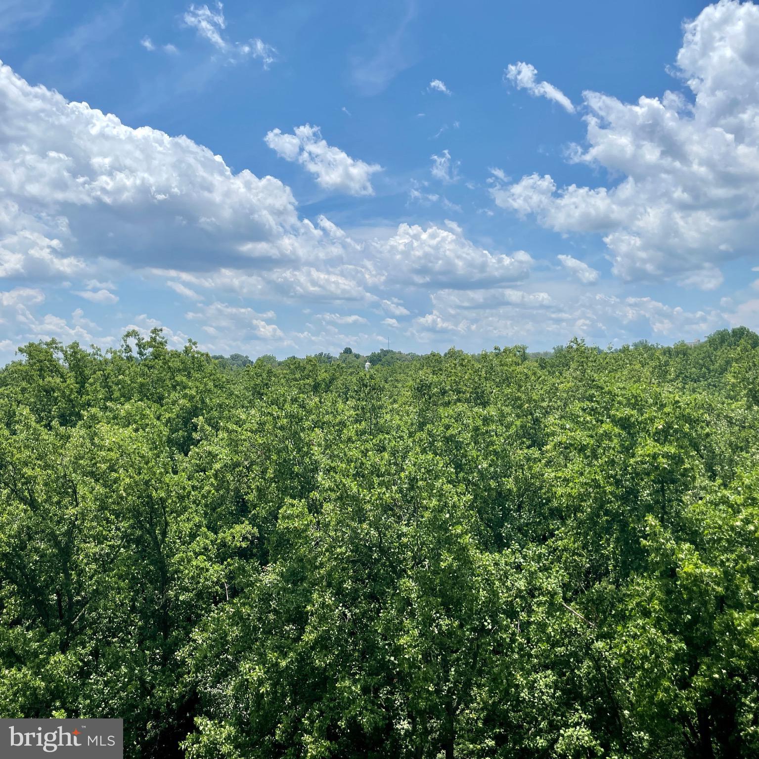 PARKSIDE PLAZA CODM - Residential Lease