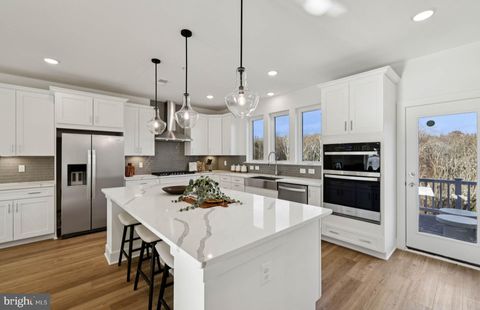 14447 LEAFHOPPER DRIVE BOYDS MD 20841