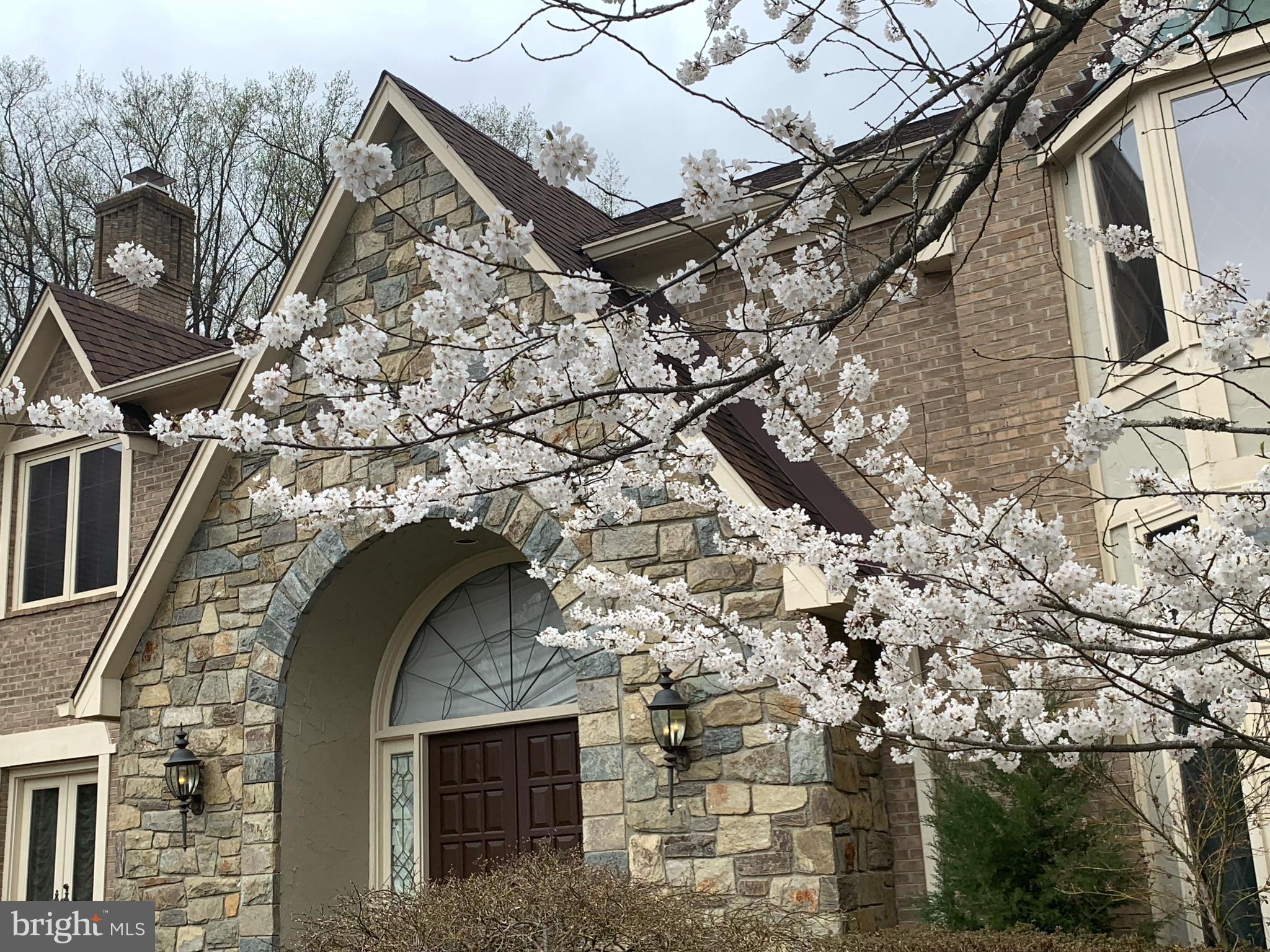 SADDLE RIDGE - Residential