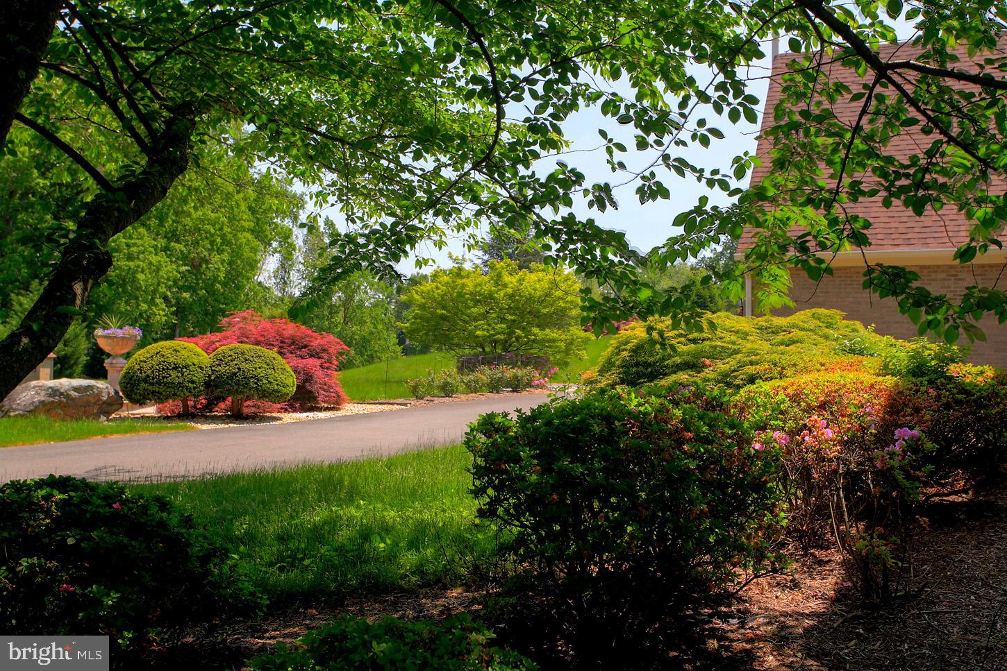 SADDLE RIDGE - Residential