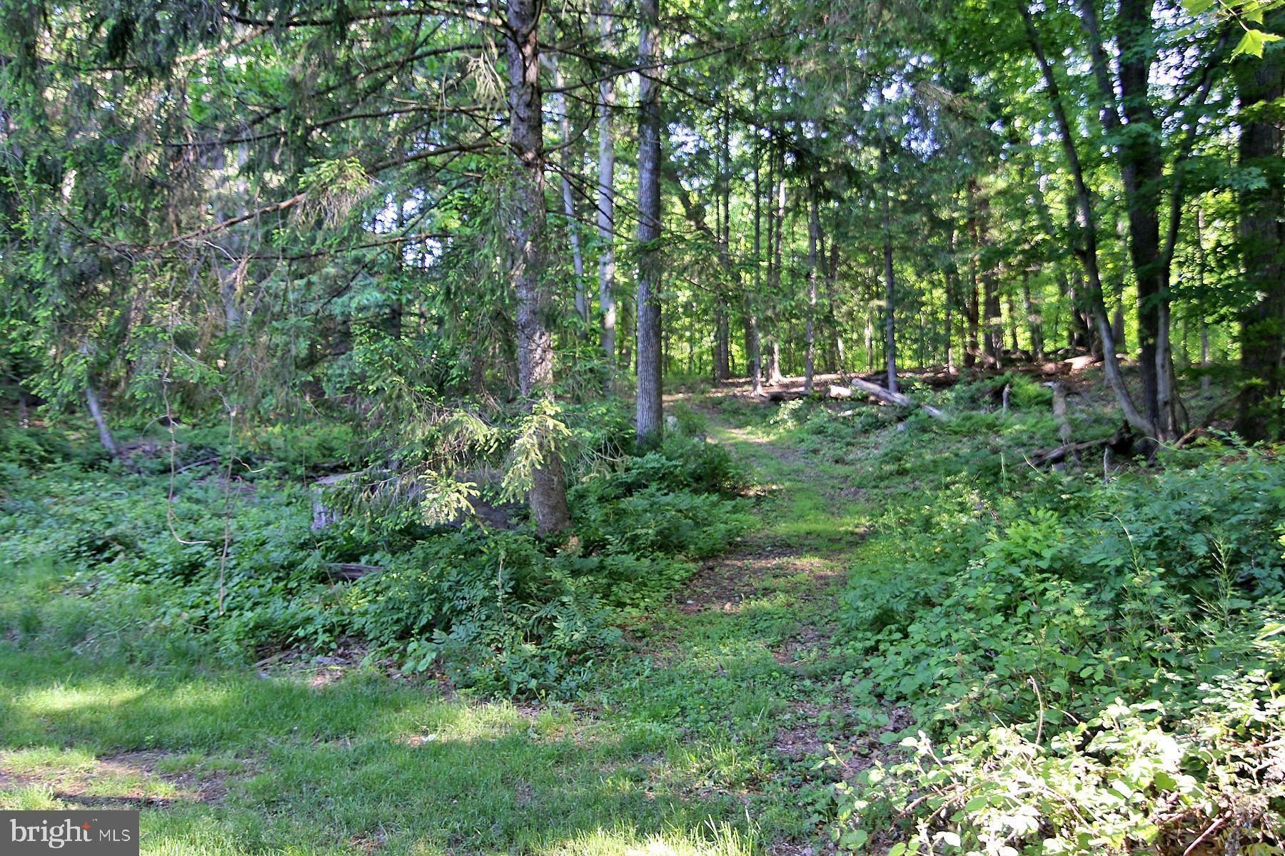 1061 MINE ROAD