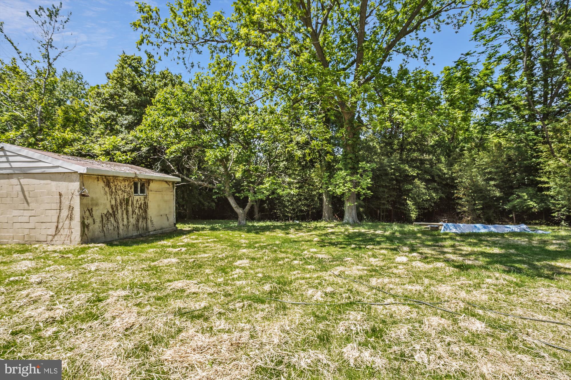 LOVE POINT - Residential Lease