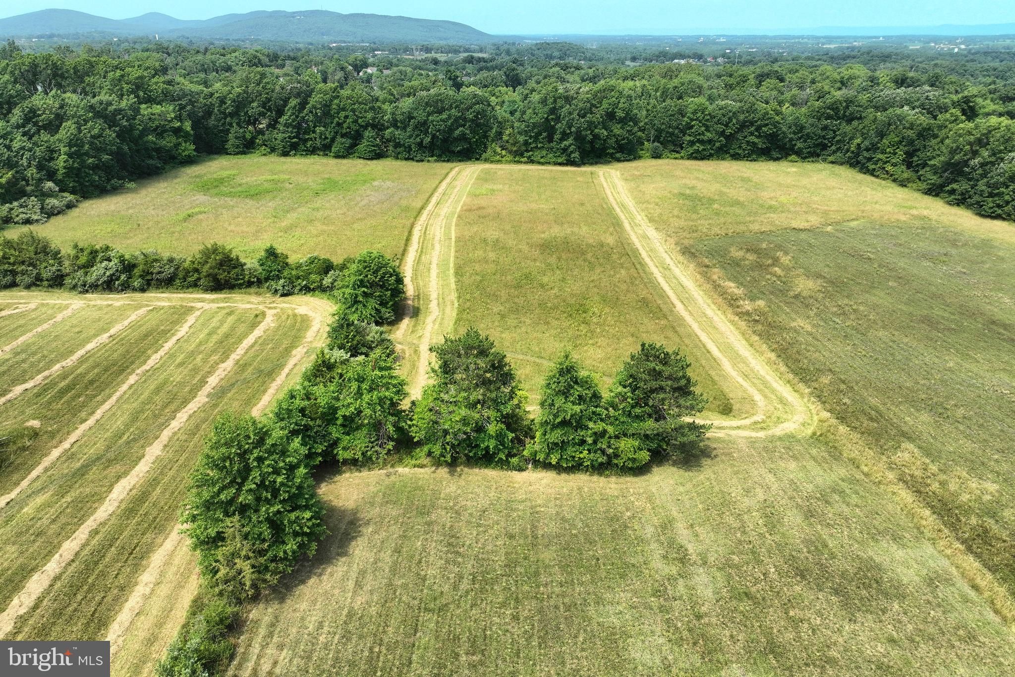 NONE AVAILABLE - Farm