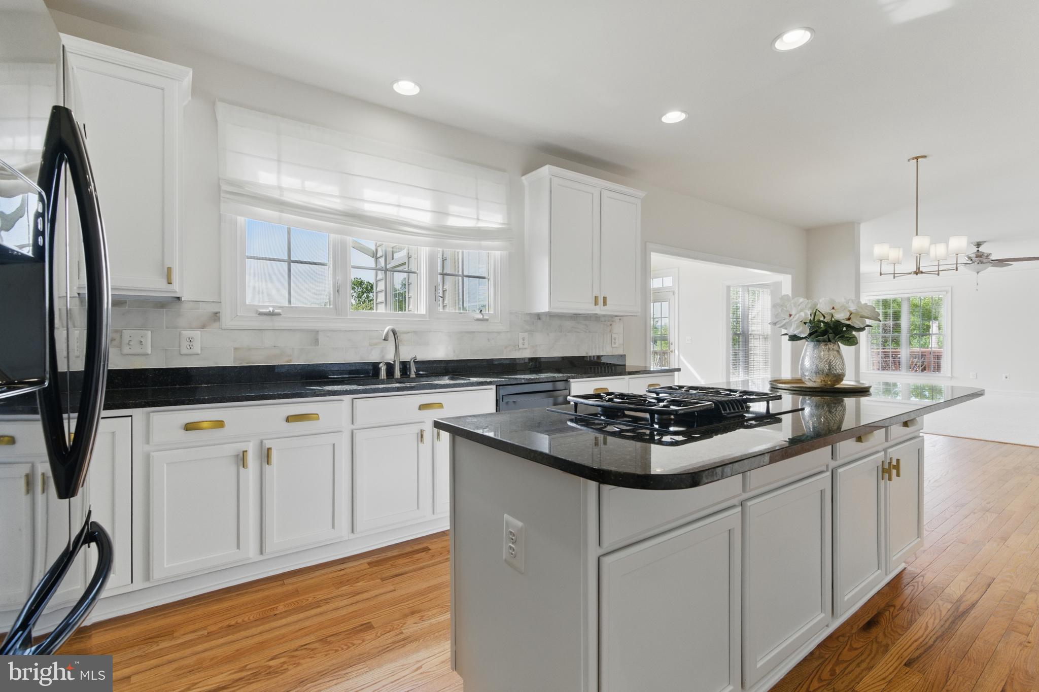 THE REGENTS AT LAKE MANASSAS - Residential