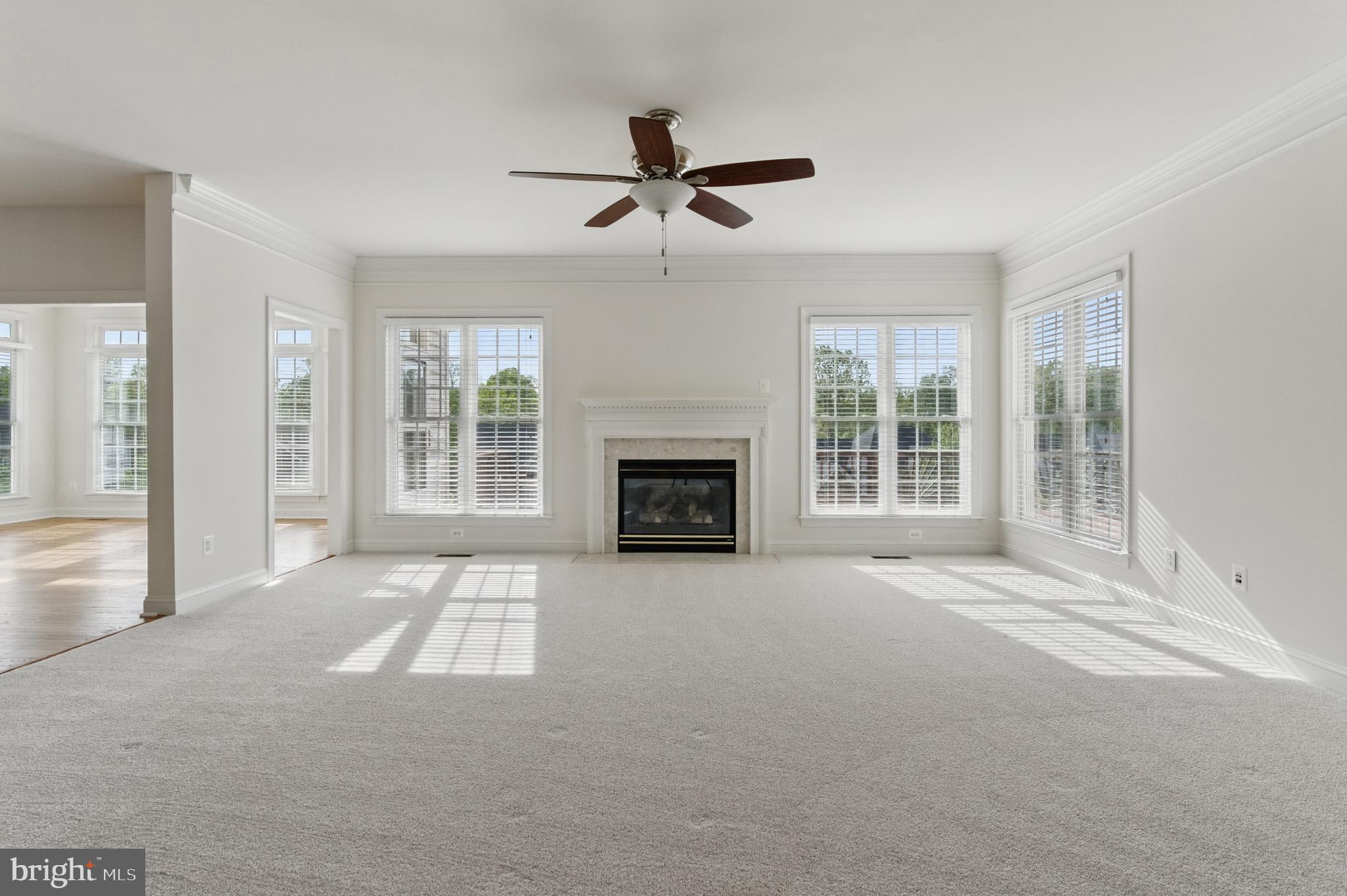 THE REGENTS AT LAKE MANASSAS - Residential