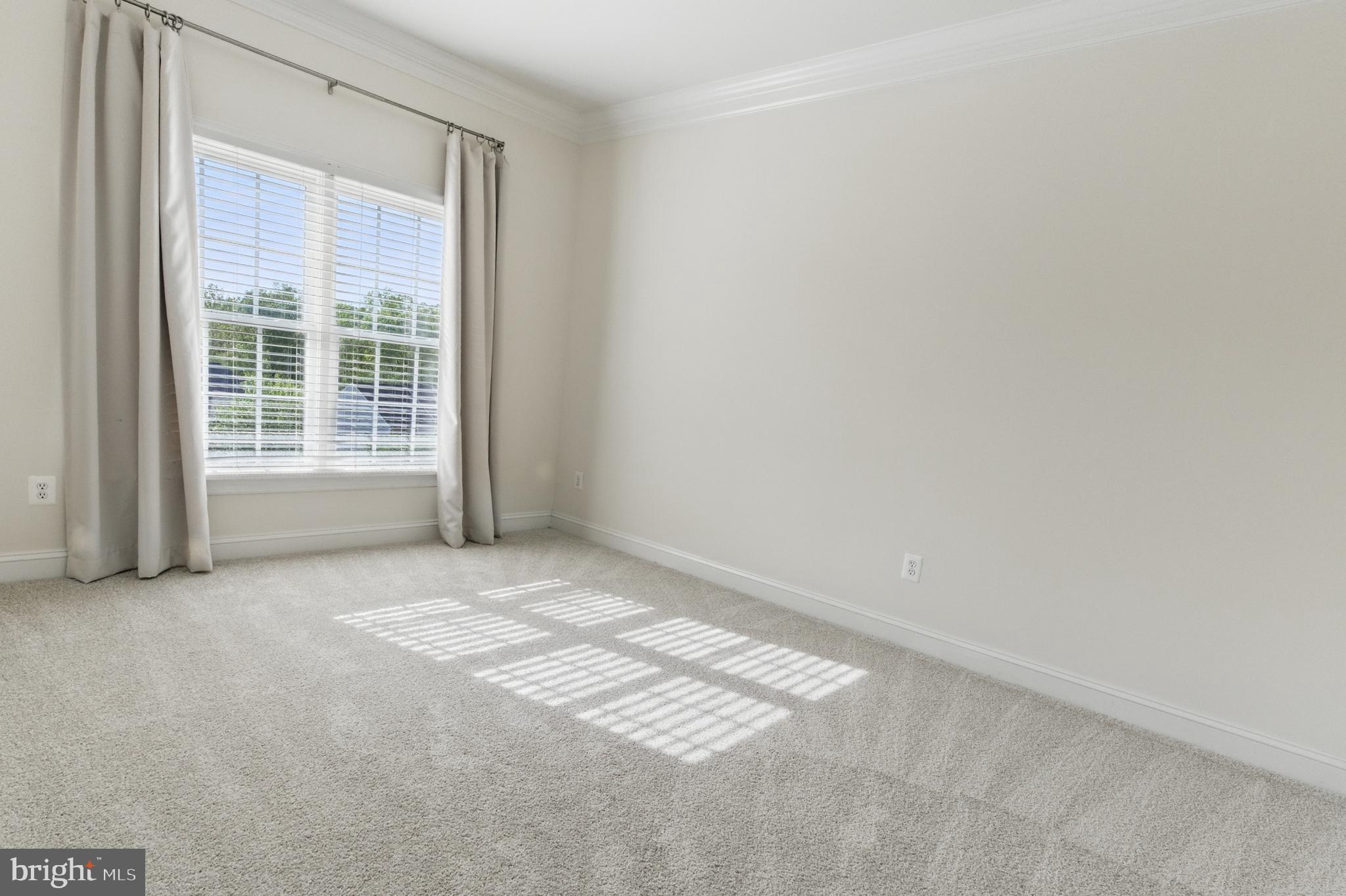 THE REGENTS AT LAKE MANASSAS - Residential