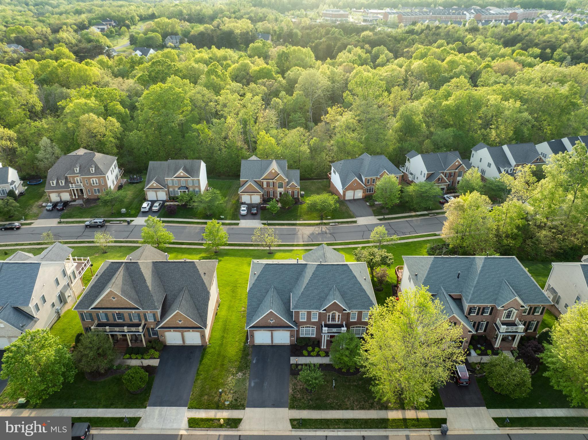 THE REGENTS AT LAKE MANASSAS - Residential