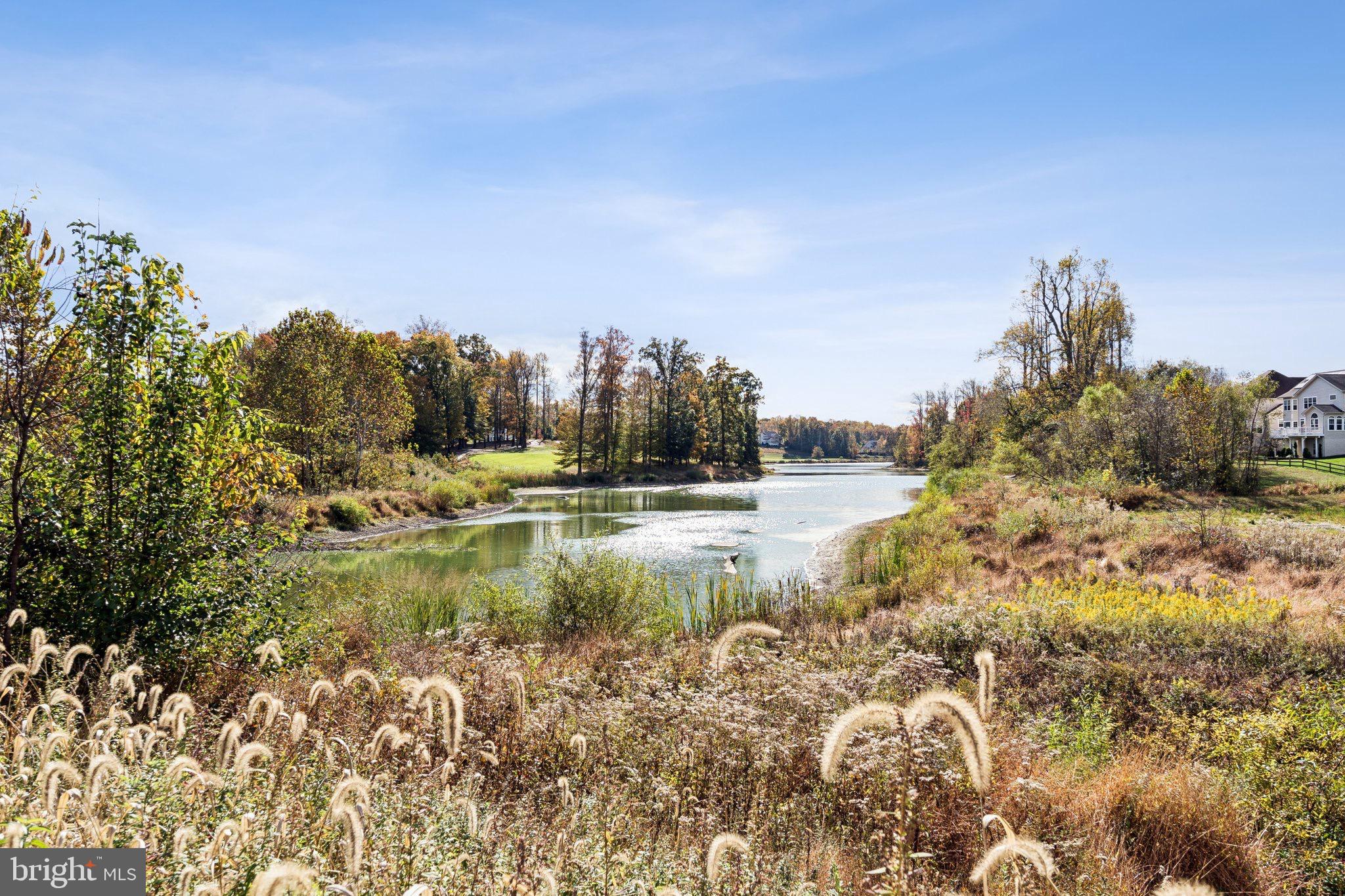 BEECH TREE NORTH VILLAGE - Residential Lease