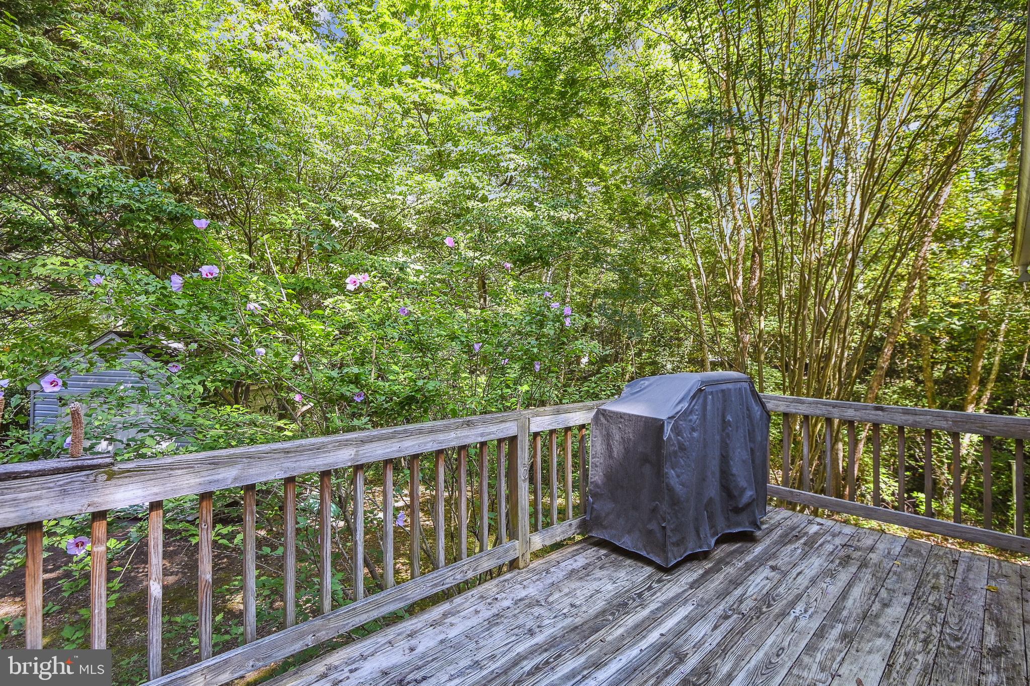 SUNRISE BEACH - Residential