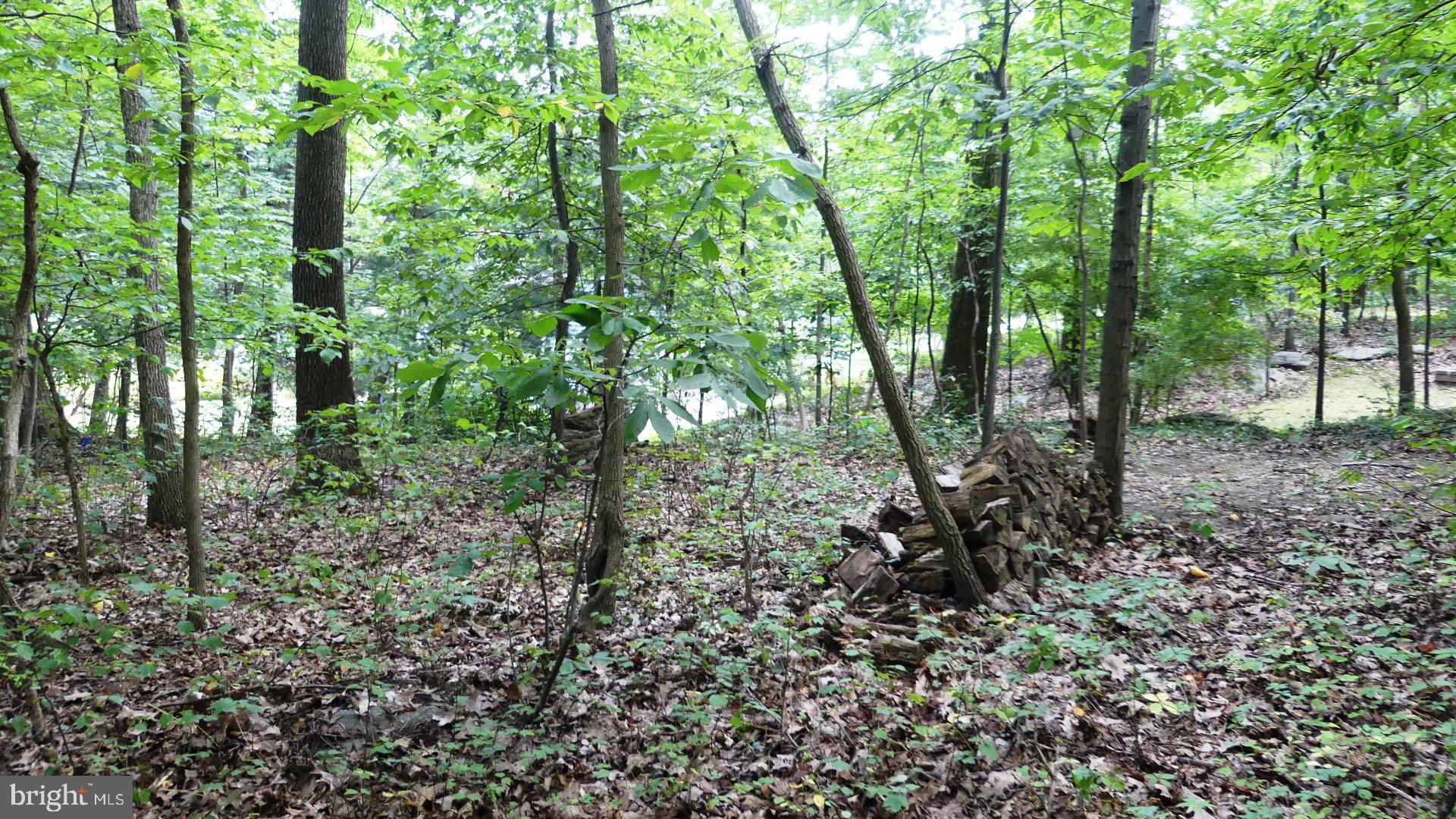 ROCKY RIDGE PARK - Residential