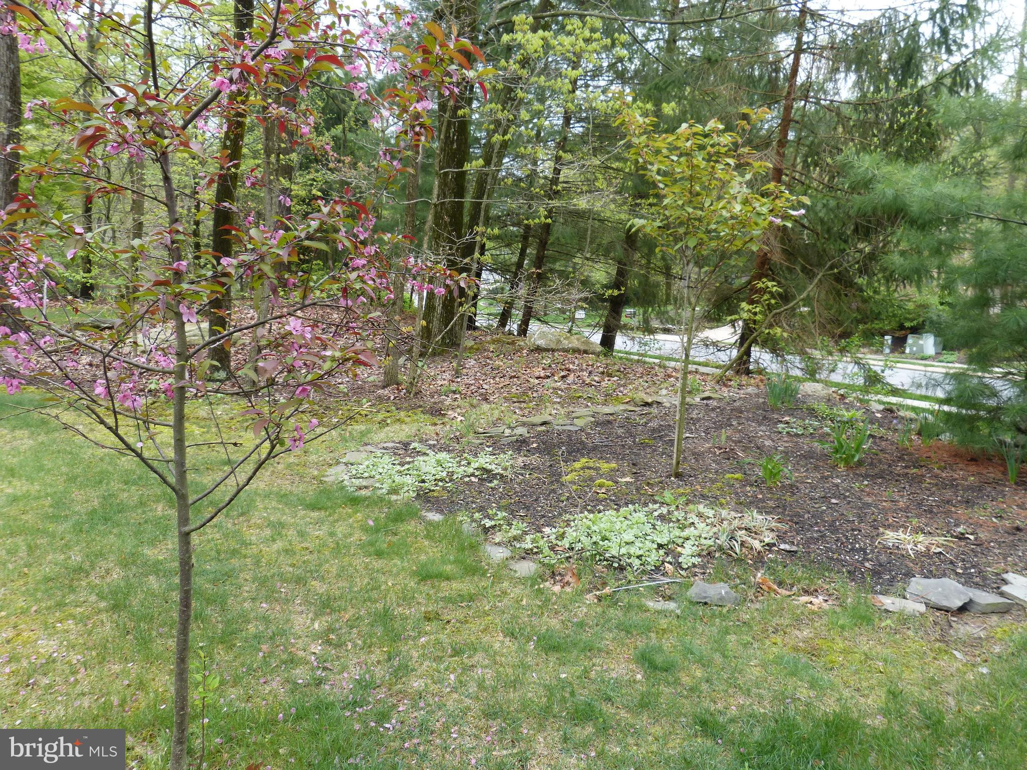 ROCKY RIDGE PARK - Residential
