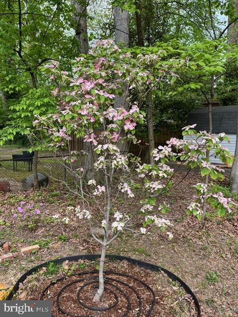 NORTH SPRINGFIELD - Residential