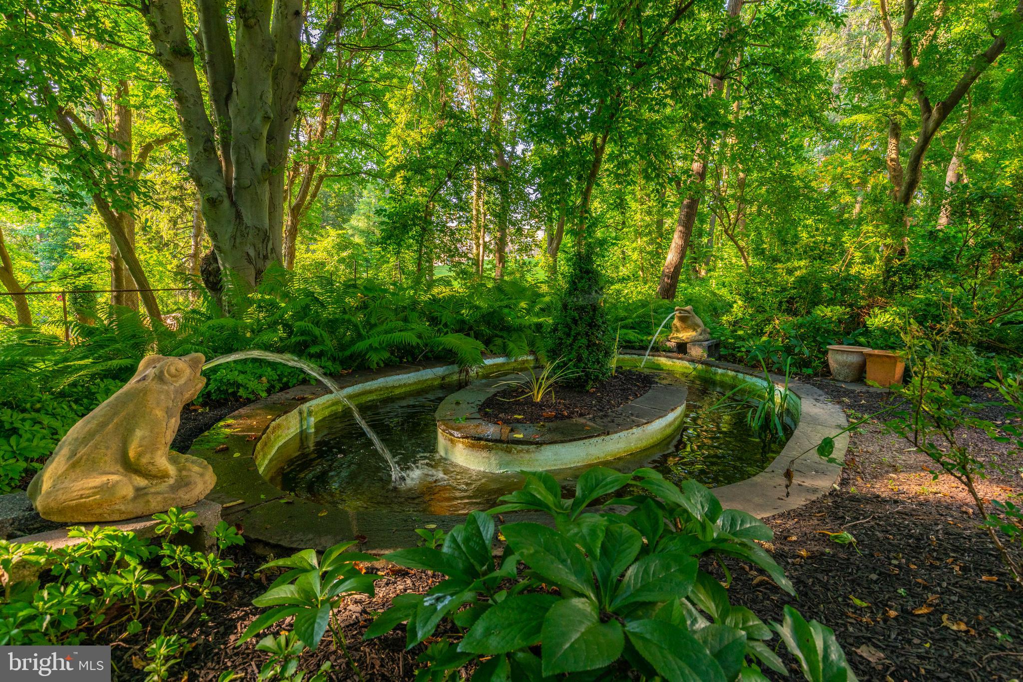 CHESTNUT HILL - Residential