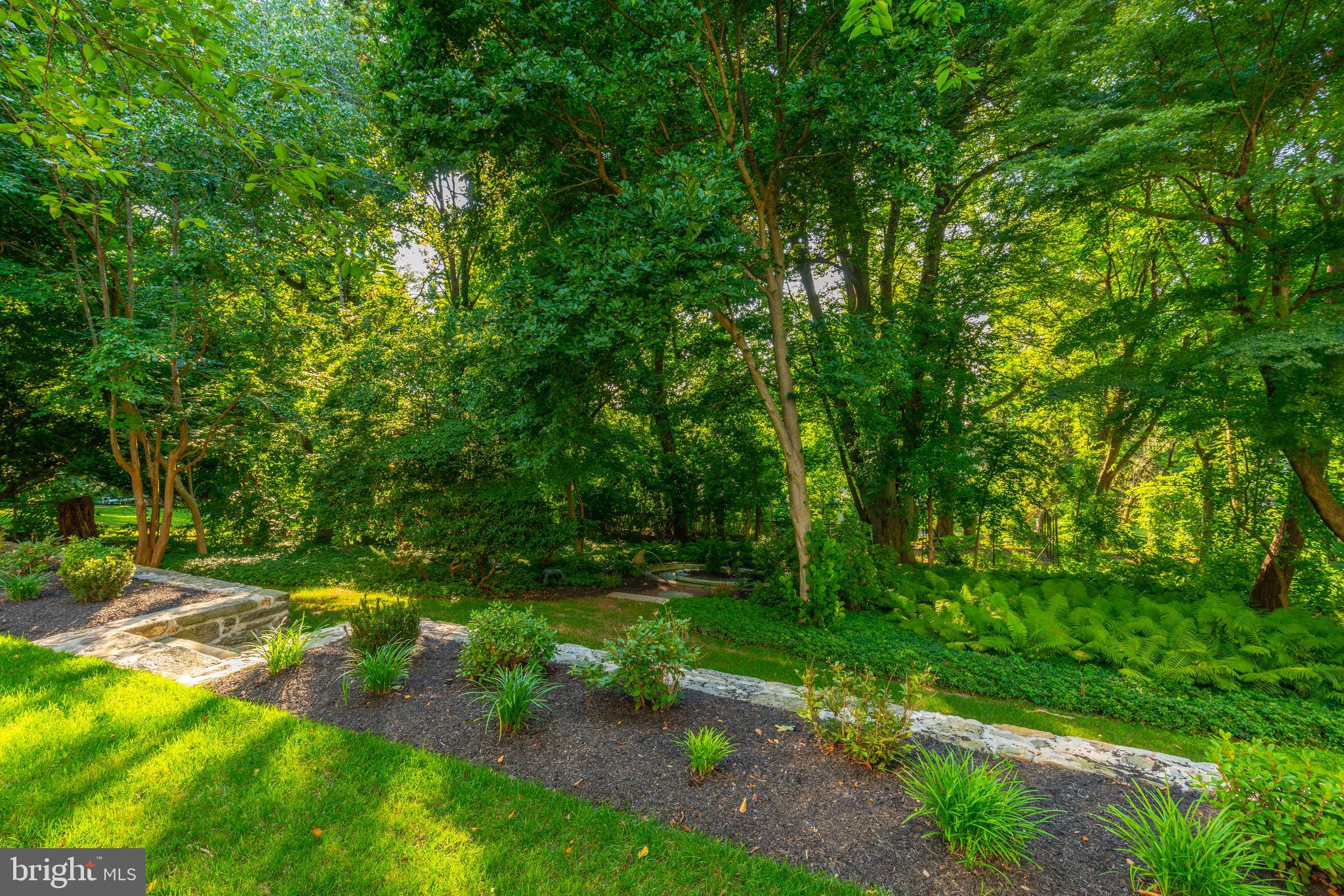 CHESTNUT HILL - Residential