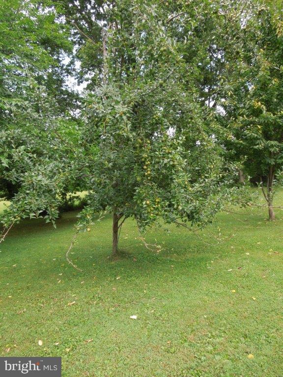 HIGHMOUNT - Residential