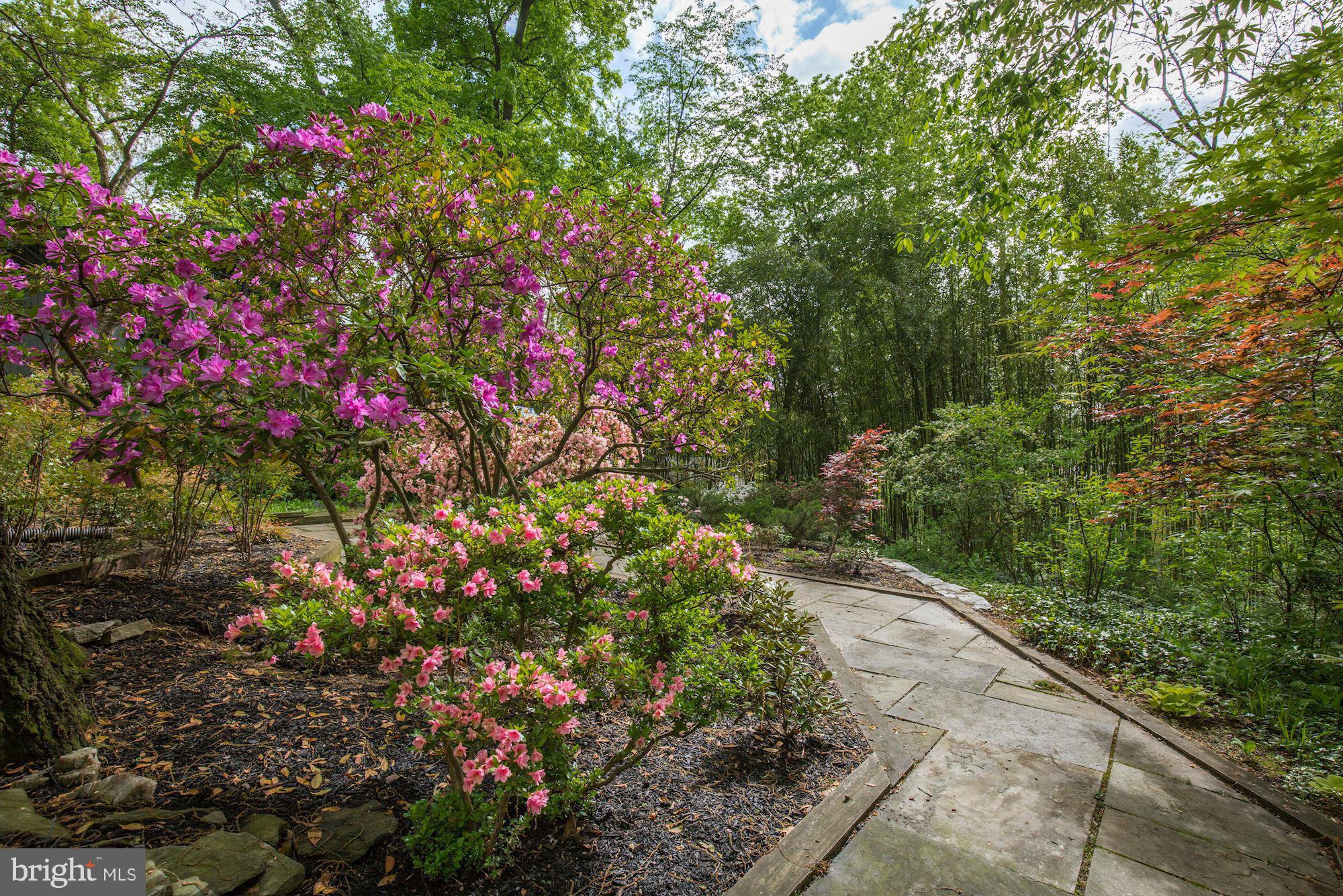 GLEN ECHO HEIGHTS - Residential