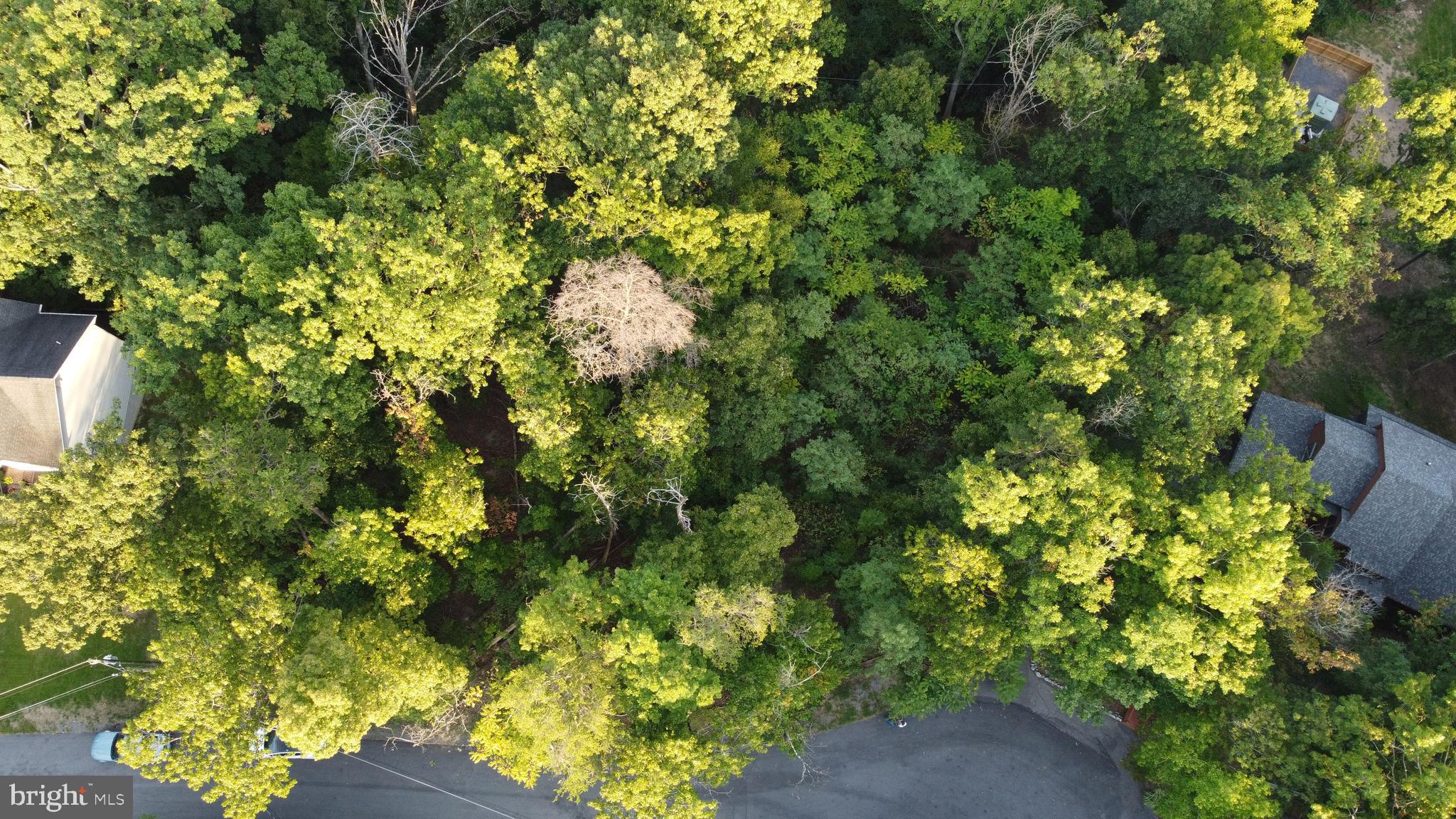 LAKE HOLIDAY ESTATES - Land