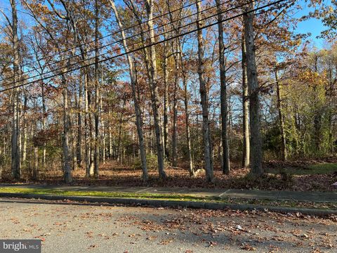Vacant Land For Sale - 104 Harmon Road<br/> WOODBINE, NJ 08270