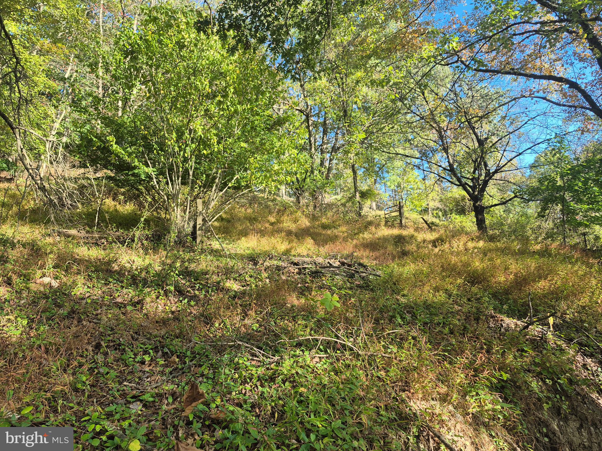 MODENA - Residential