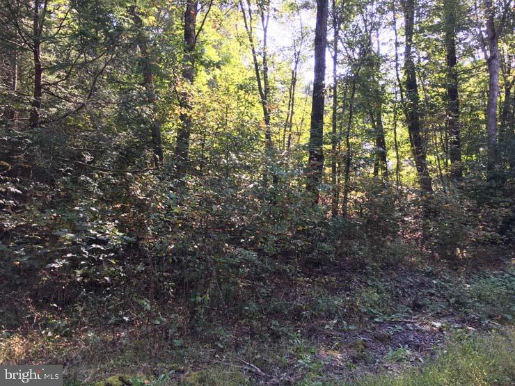 1.5 acres off Twp Road 389, Neely Road.