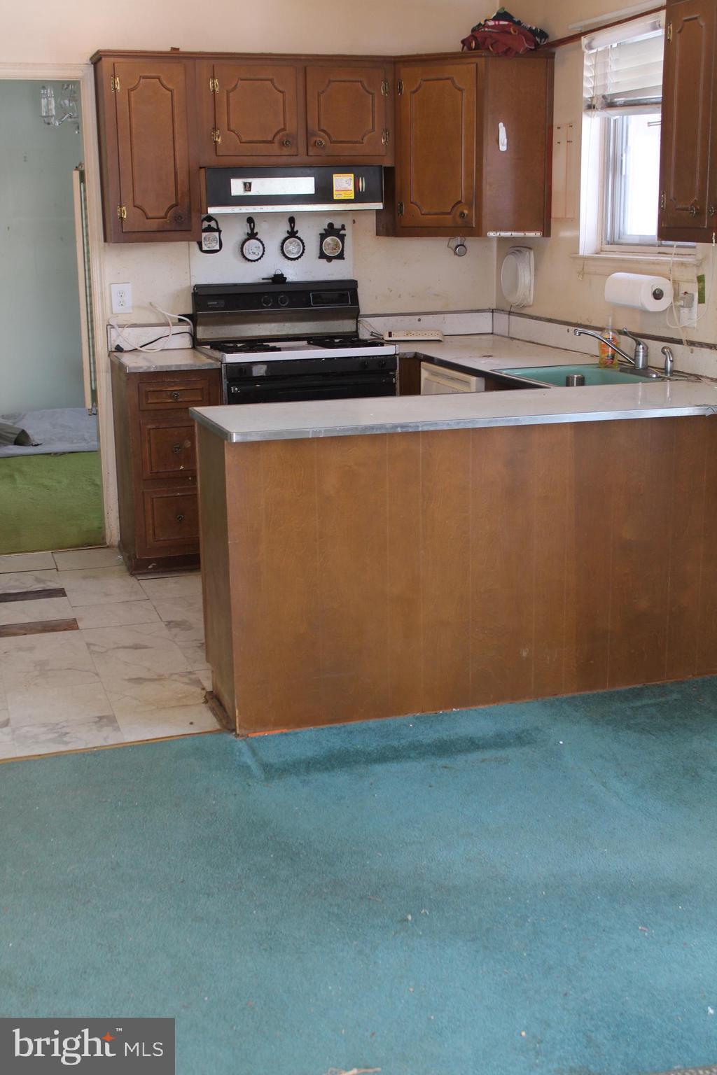 WEST SPRINGFIELD VILLAGE - Residential