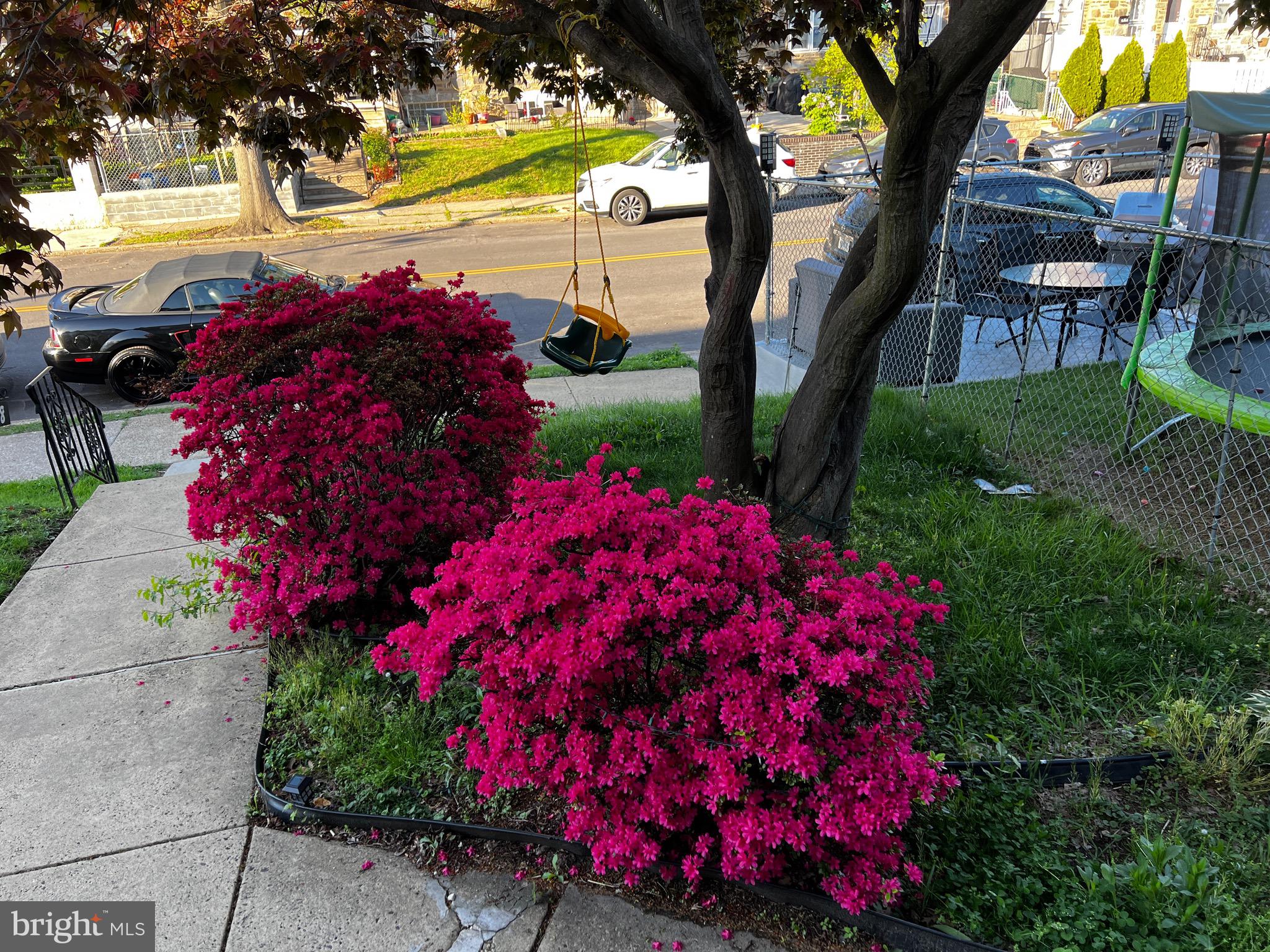 CASTOR GARDENS - Residential