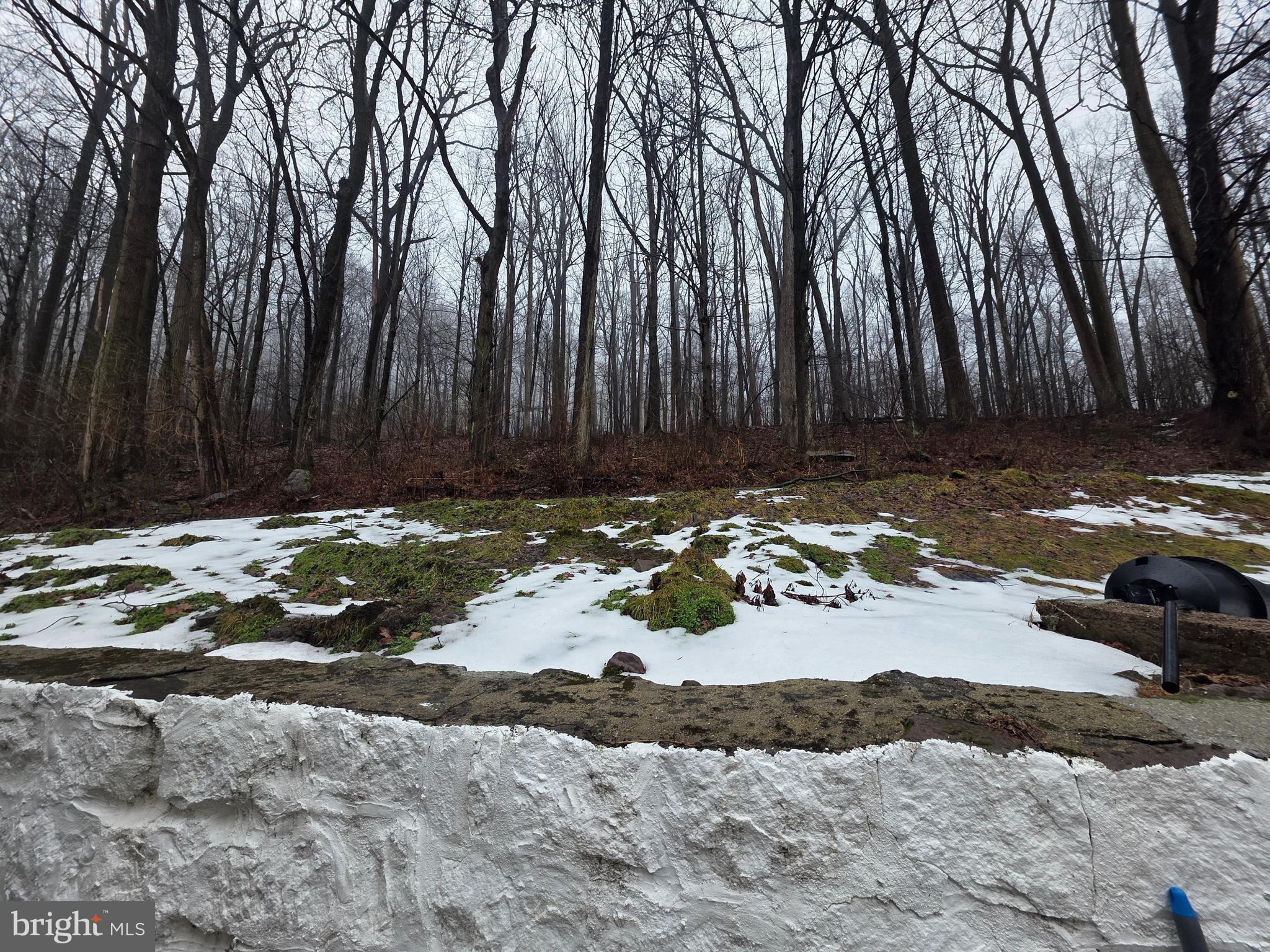 CUMRU TOWNSHIP - Residential