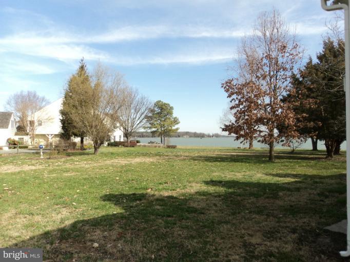 BELLEVUE - Residential Lease