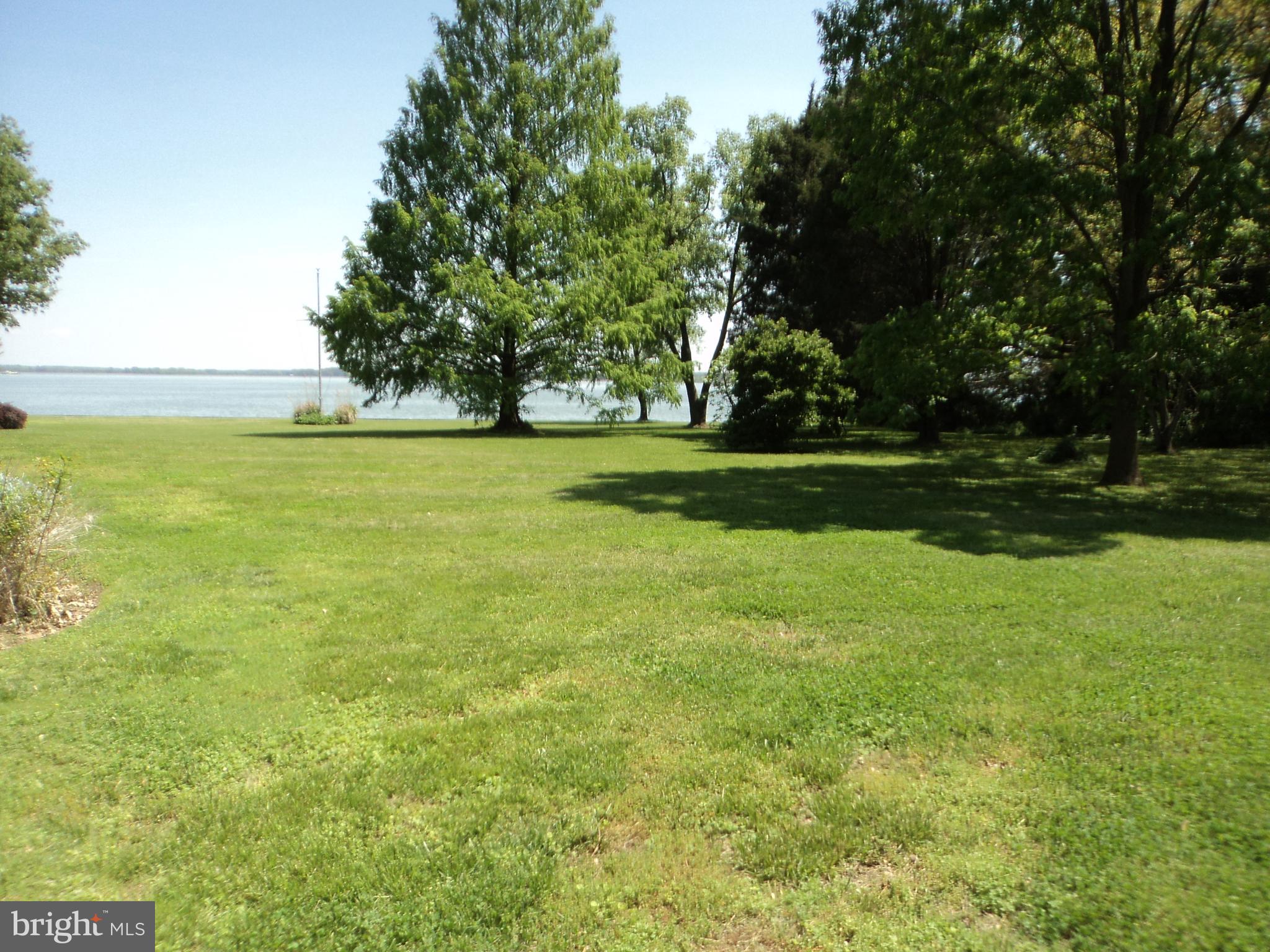 BELLEVUE - Residential Lease