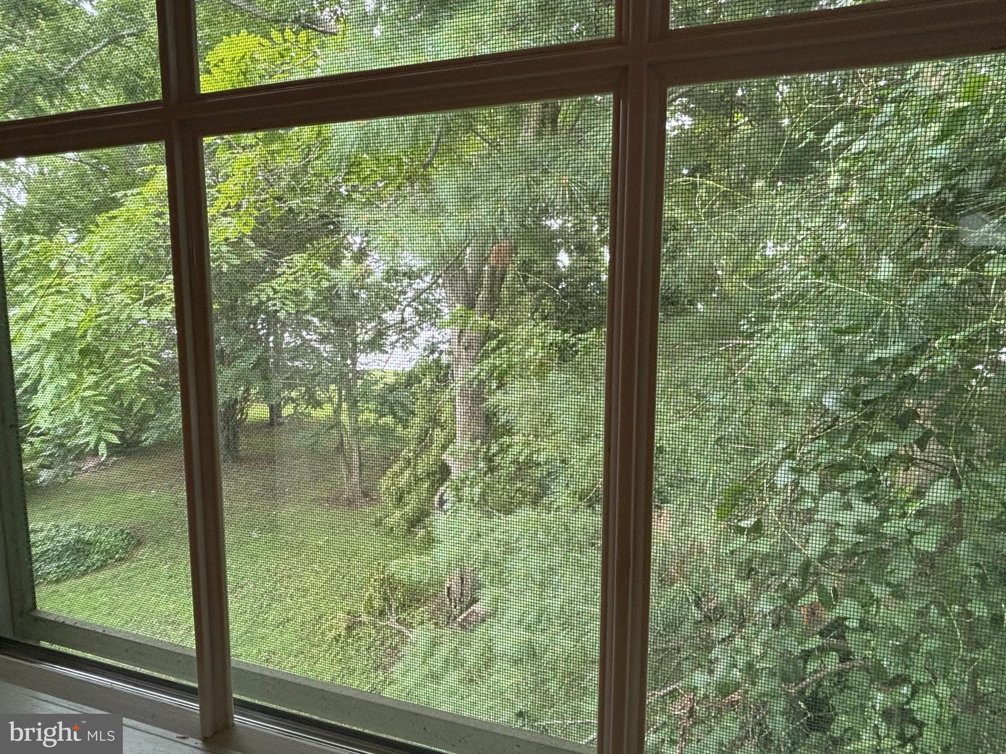 BELLEVUE - Residential Lease