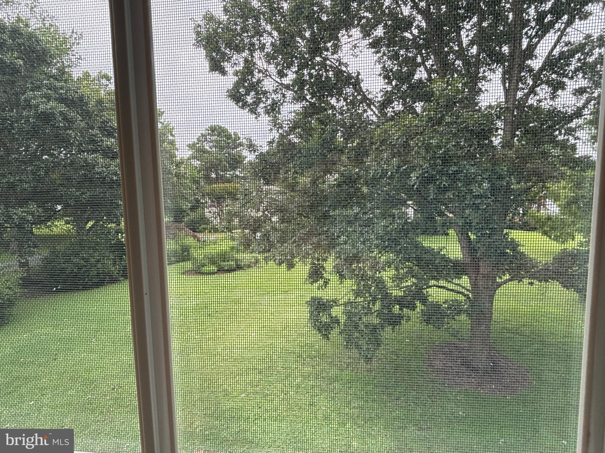 BELLEVUE - Residential Lease