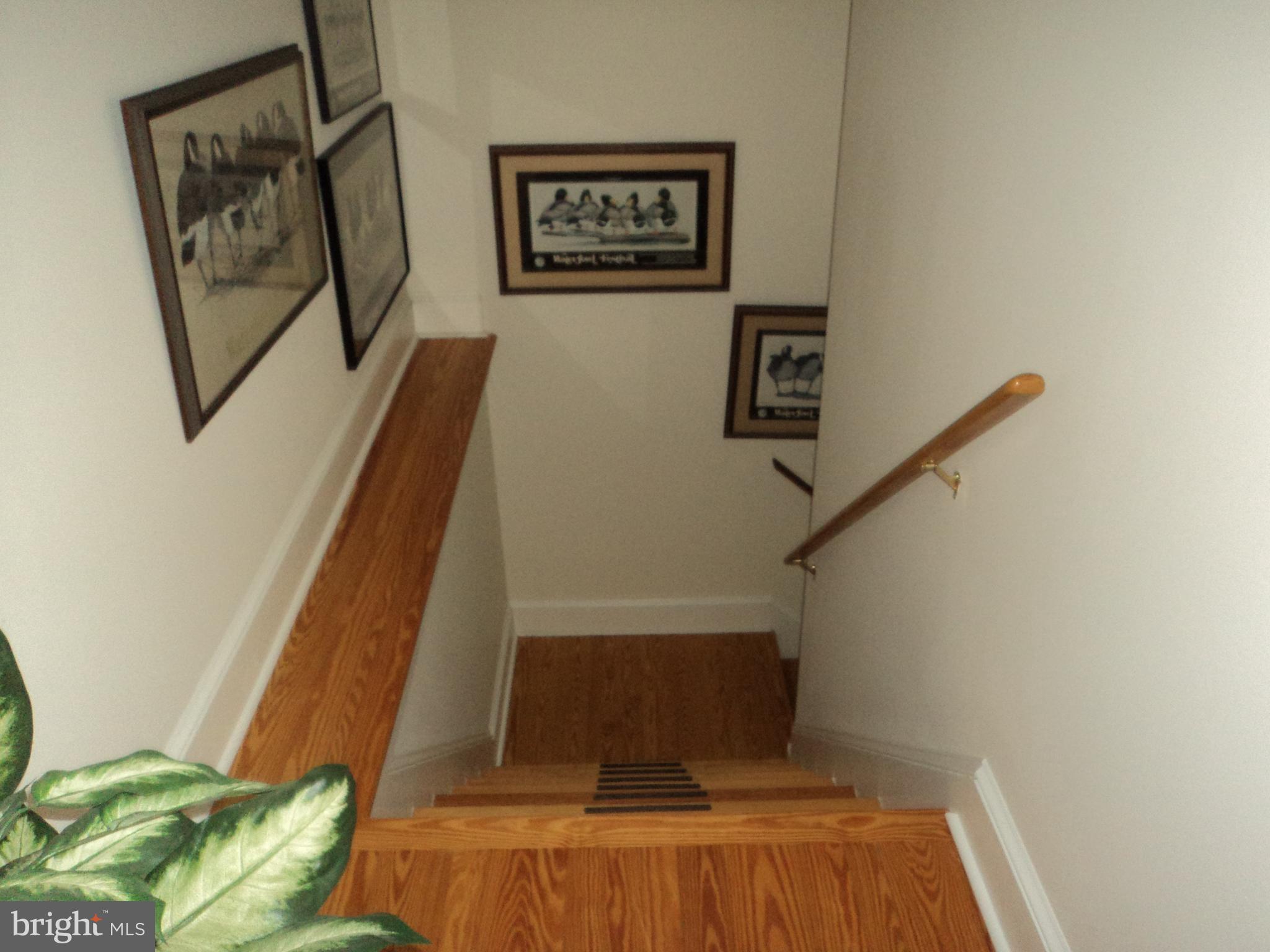 BELLEVUE - Residential Lease