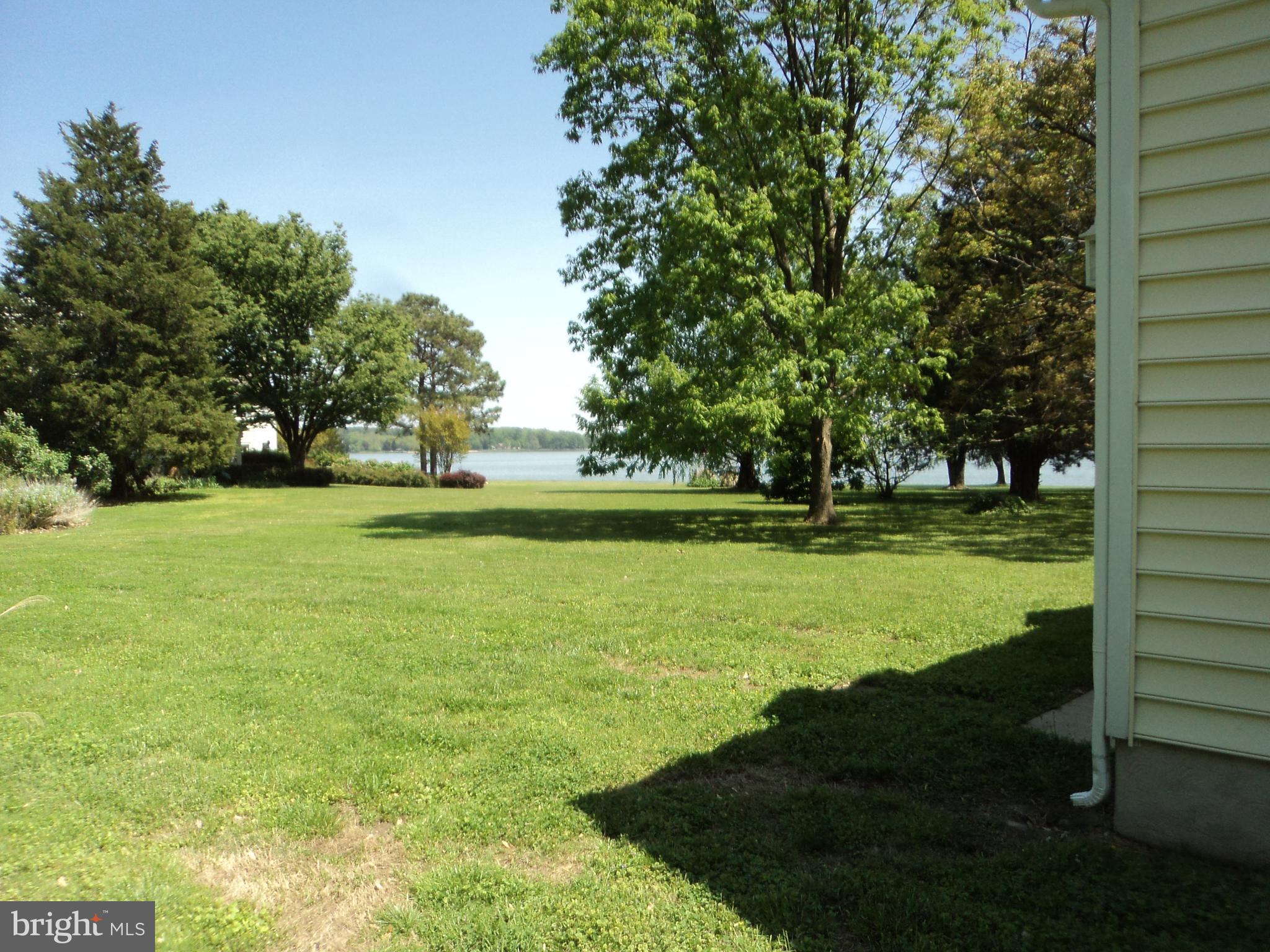 BELLEVUE - Residential Lease