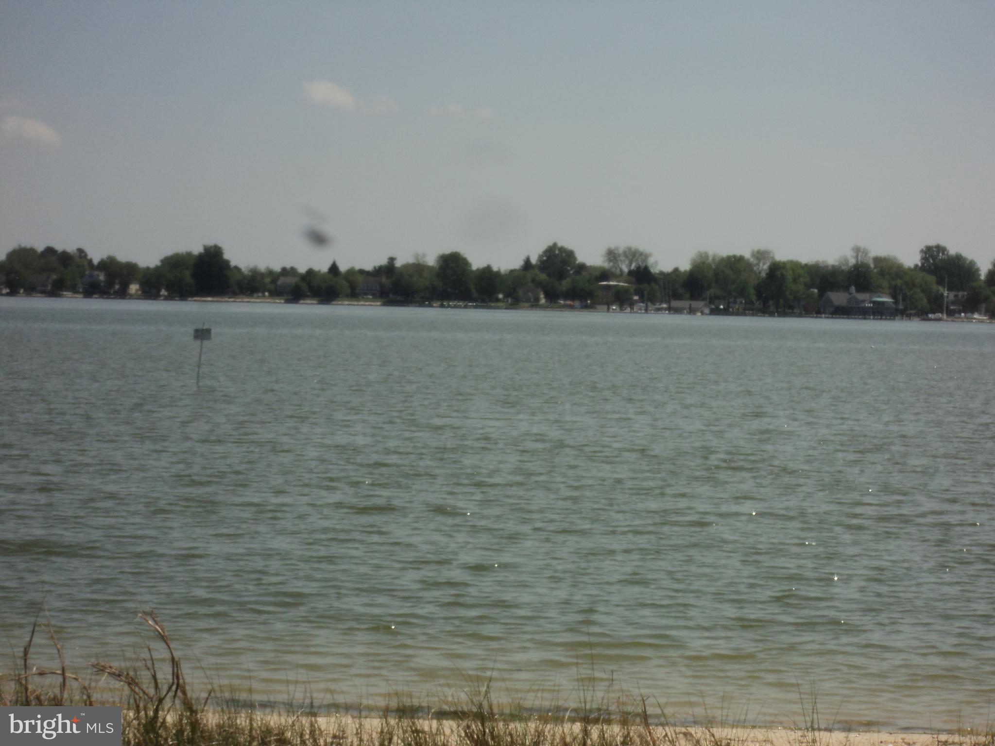 BELLEVUE - Residential Lease