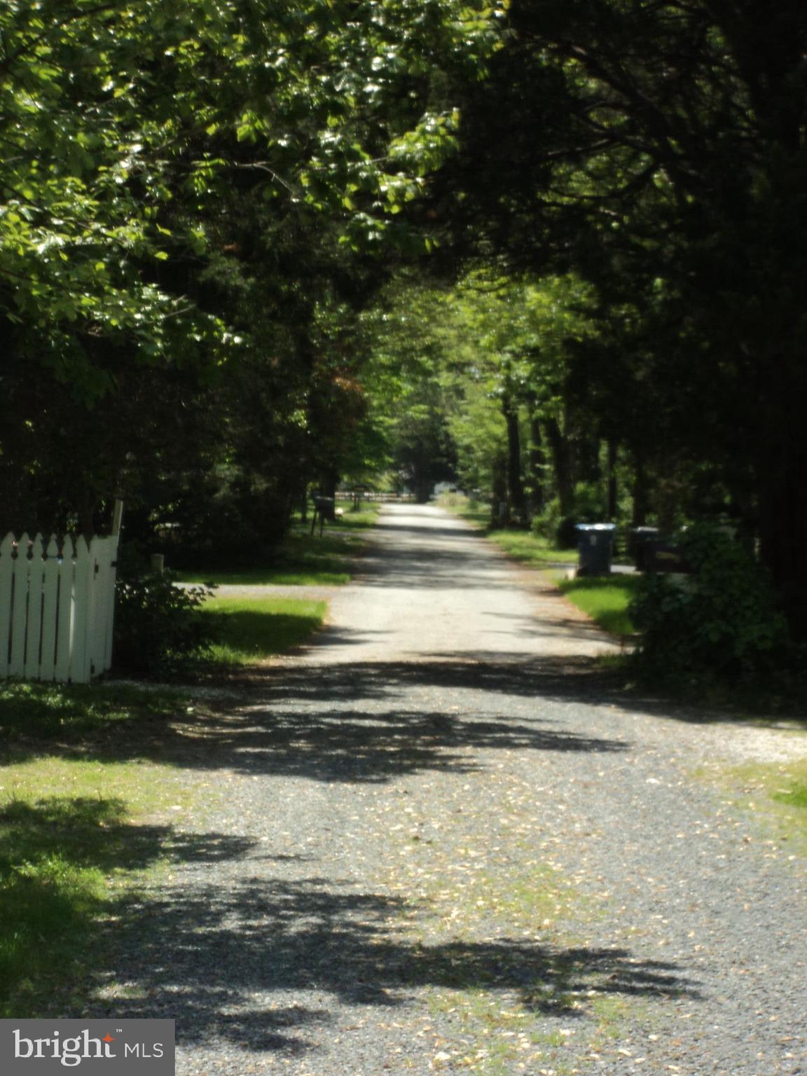 BELLEVUE - Residential Lease