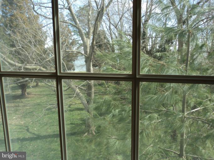 BELLEVUE - Residential Lease