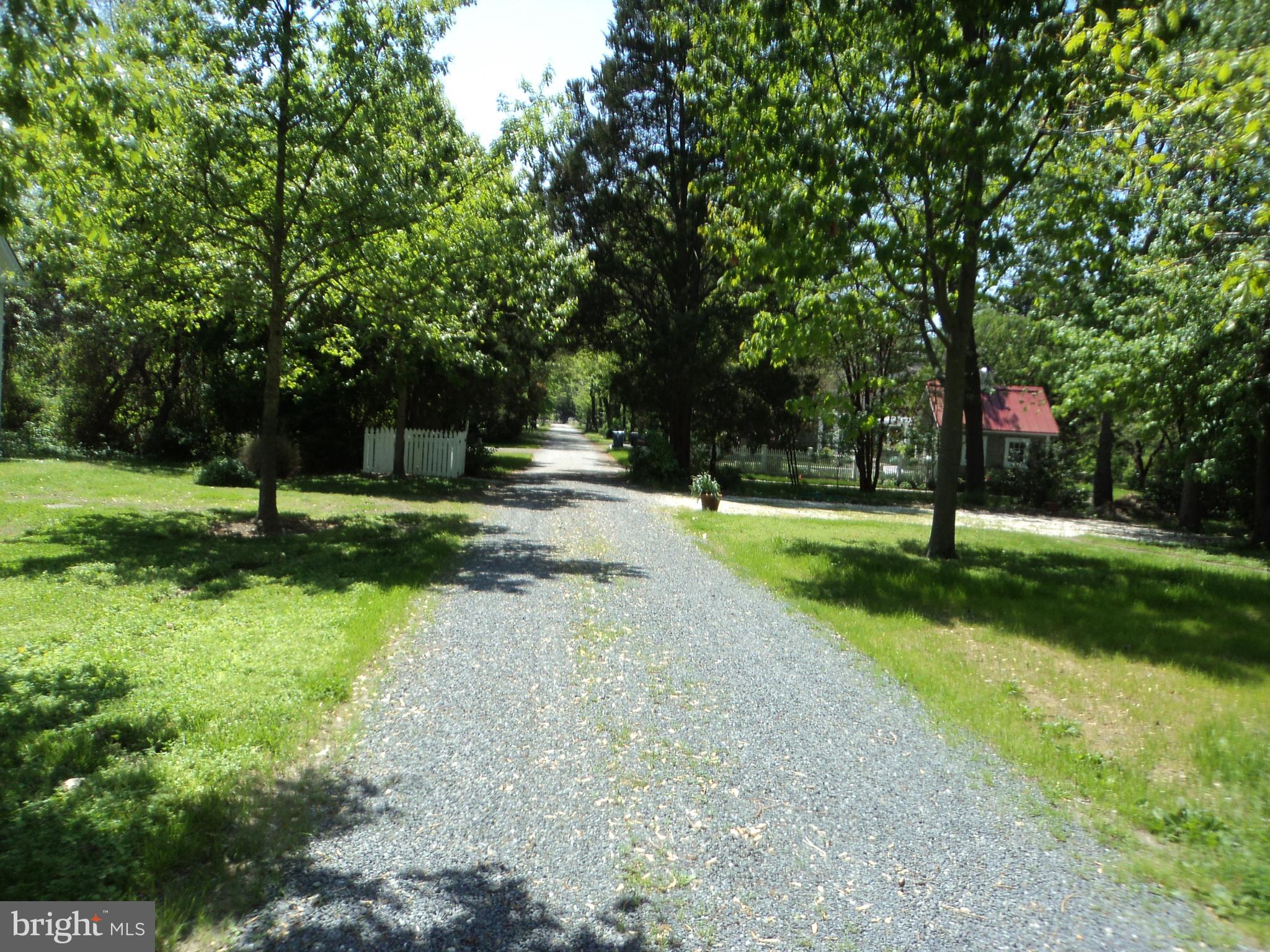 BELLEVUE - Residential Lease