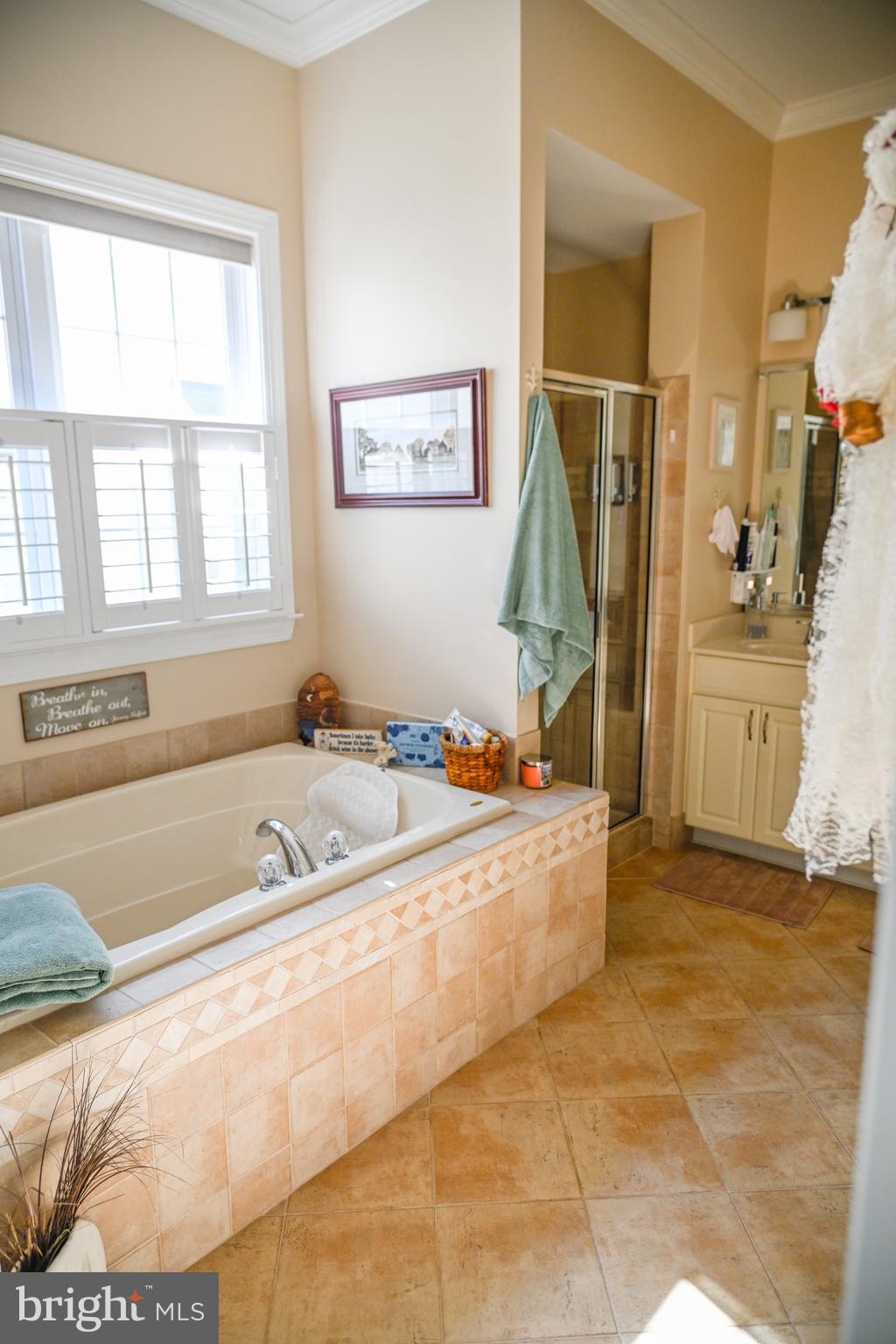 REGENCY AT DOMINION VALLEY - Residential