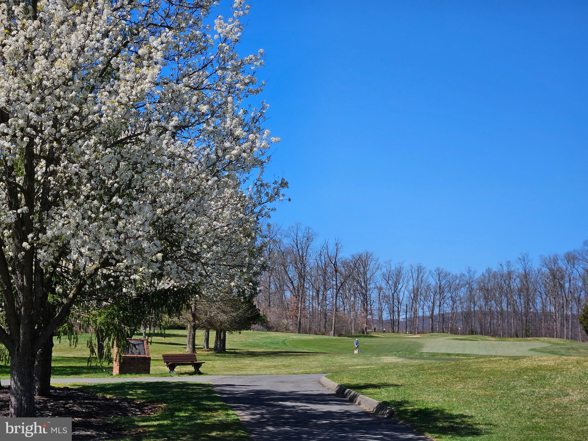 REGENCY AT DOMINION VALLEY - Residential