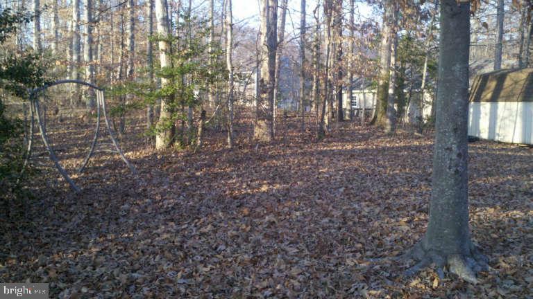 PLANTATION FOREST - Residential Lease